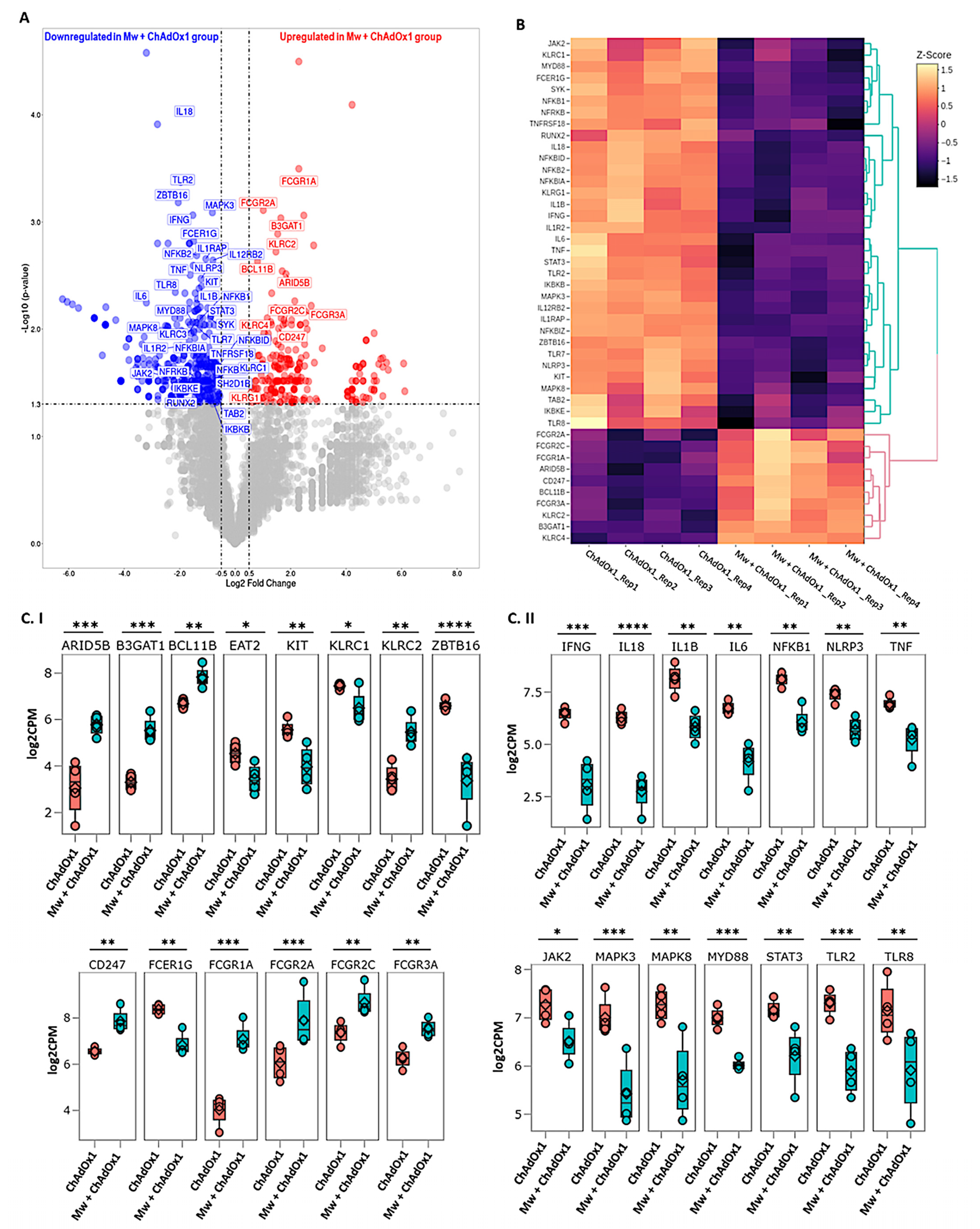 Vaccines 11 00328 g003 550