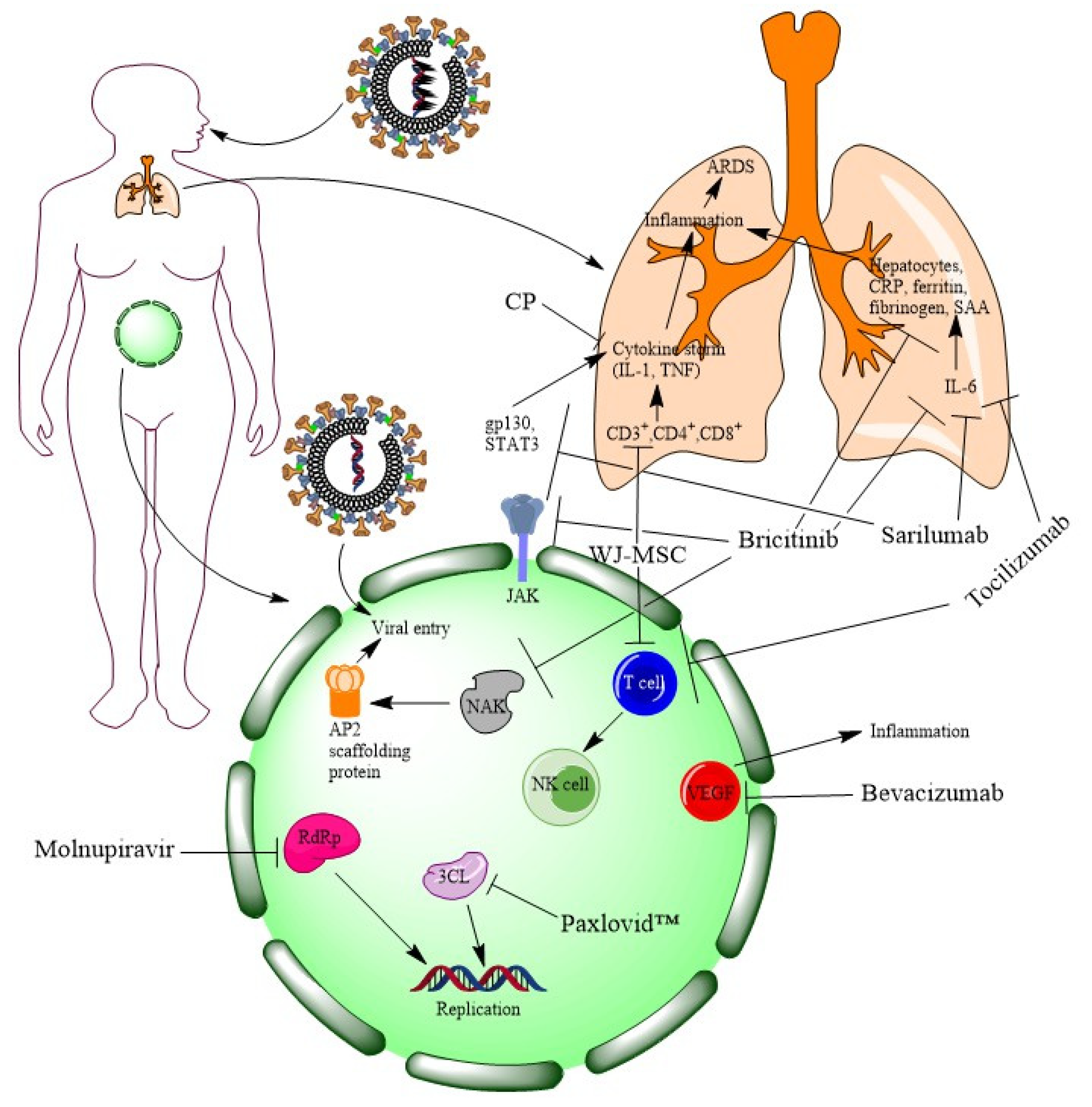 Vaccines 11 00332 g003 Vaccines 11 00332 g003
