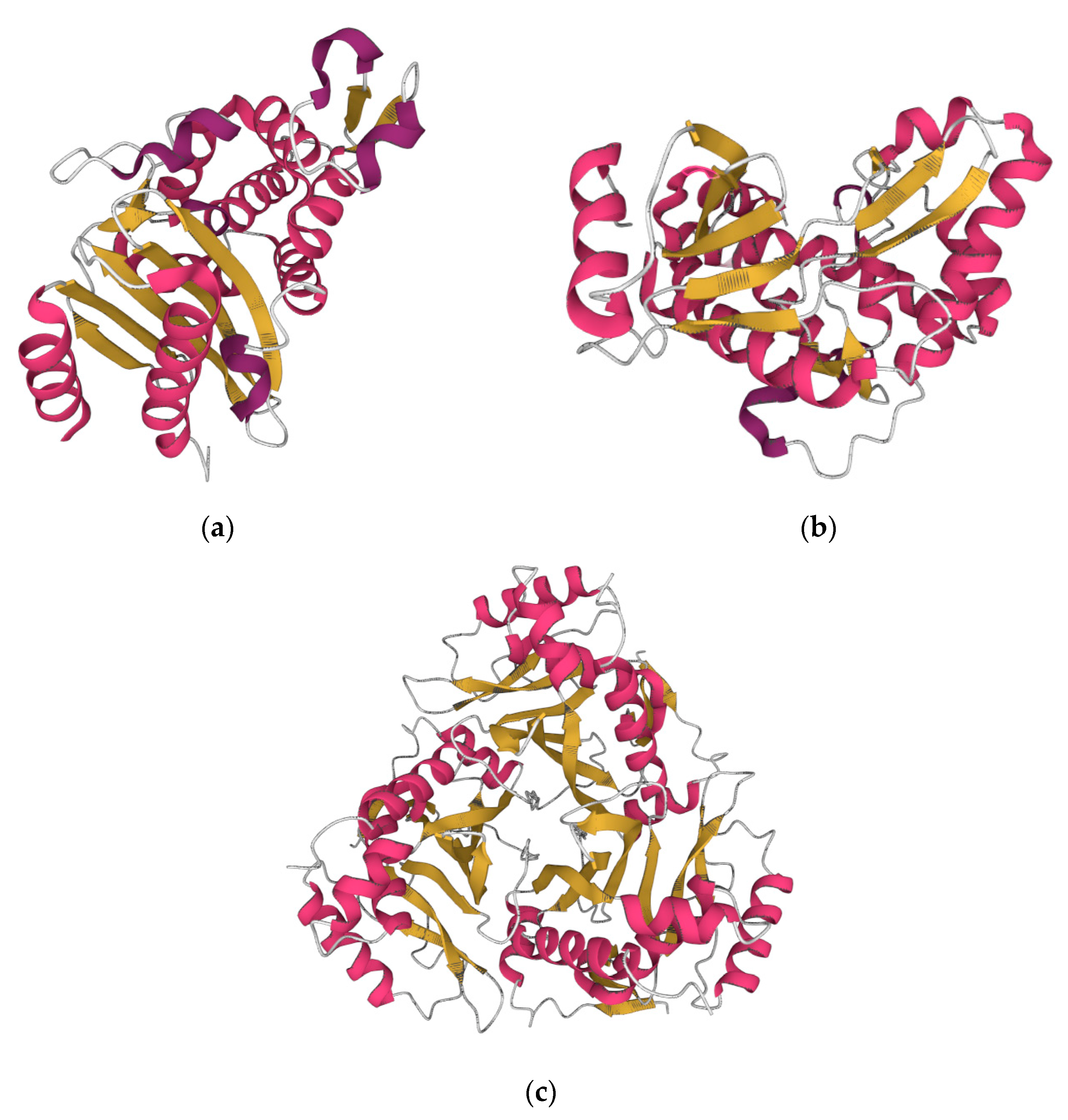 Vaccines 11 00333 g002 Vaccines 11 00333 g002