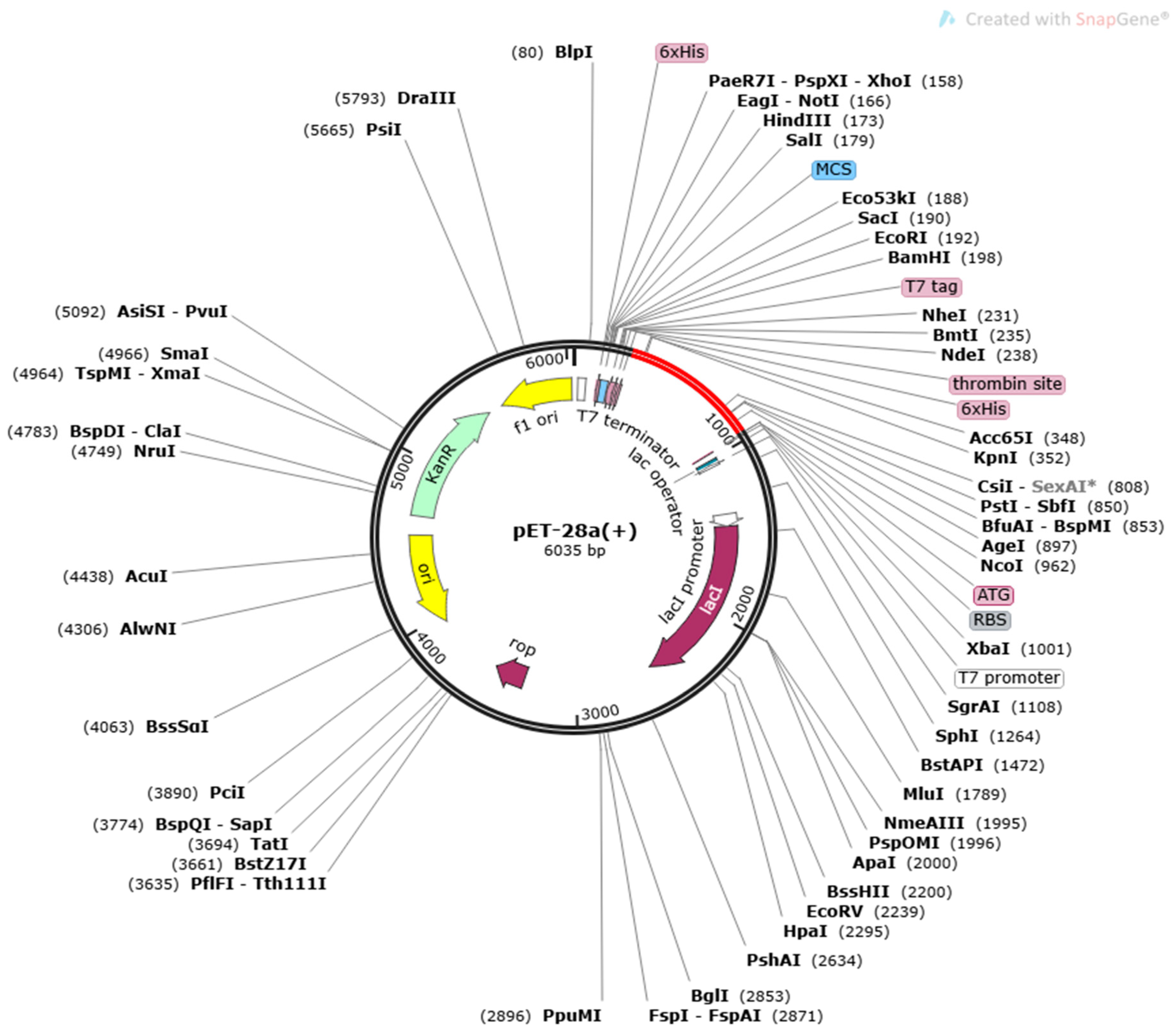 Vaccines 11 00339 g006 Vaccines 11 00339 g006
