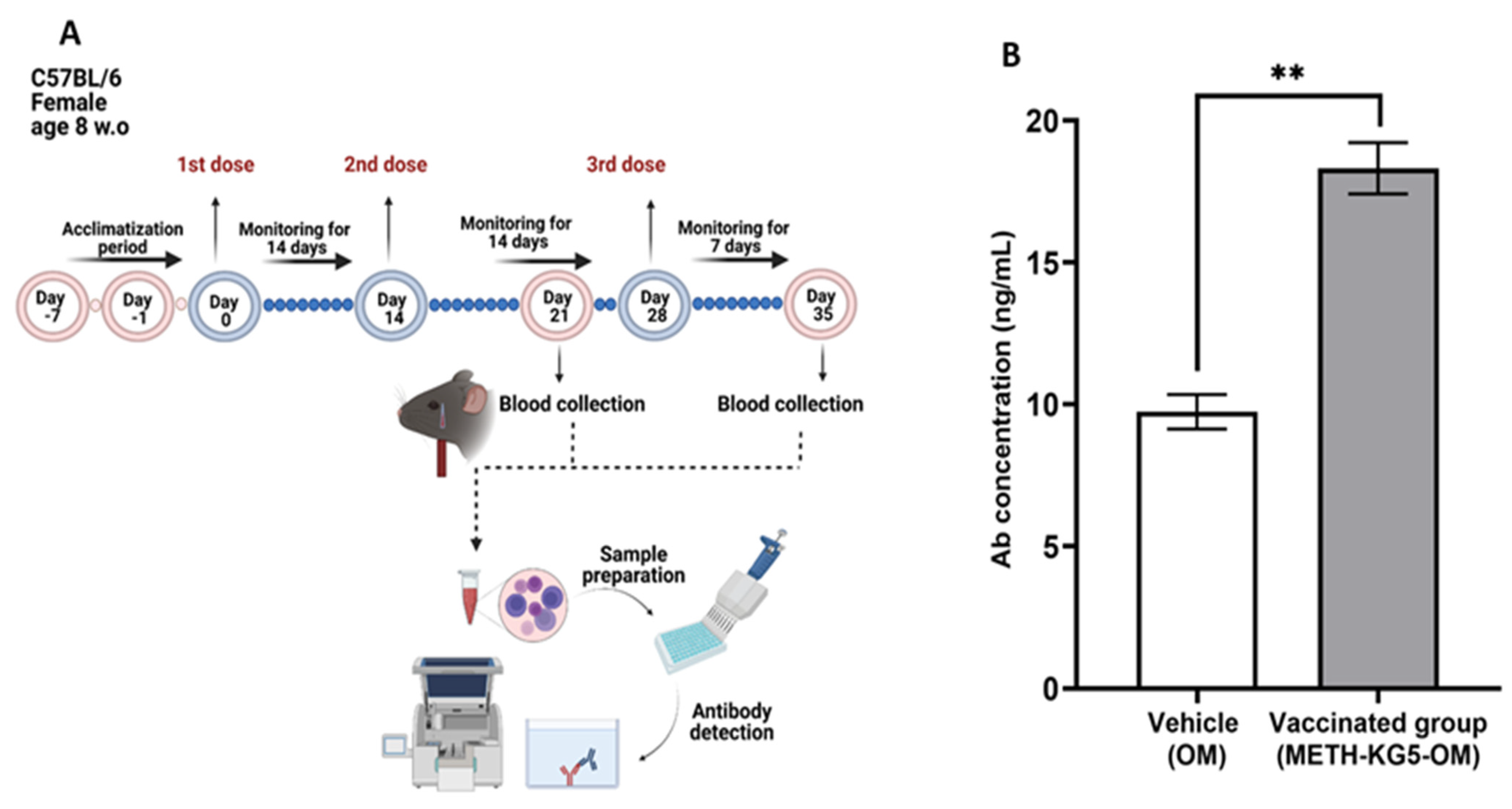Vaccines 11 00340 g009 Vaccines 11 00340 g009