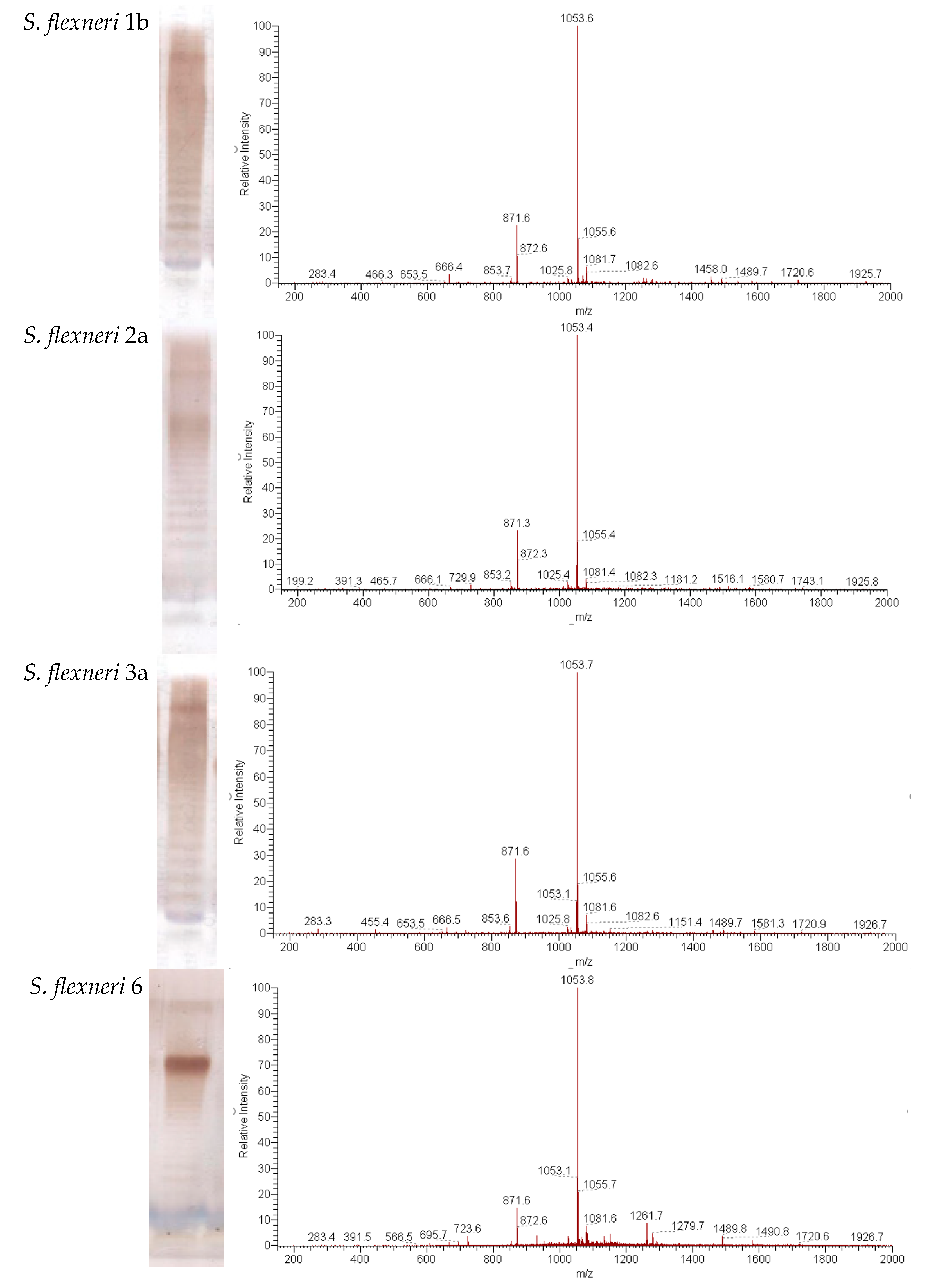 Vaccines 11 00345 g001a