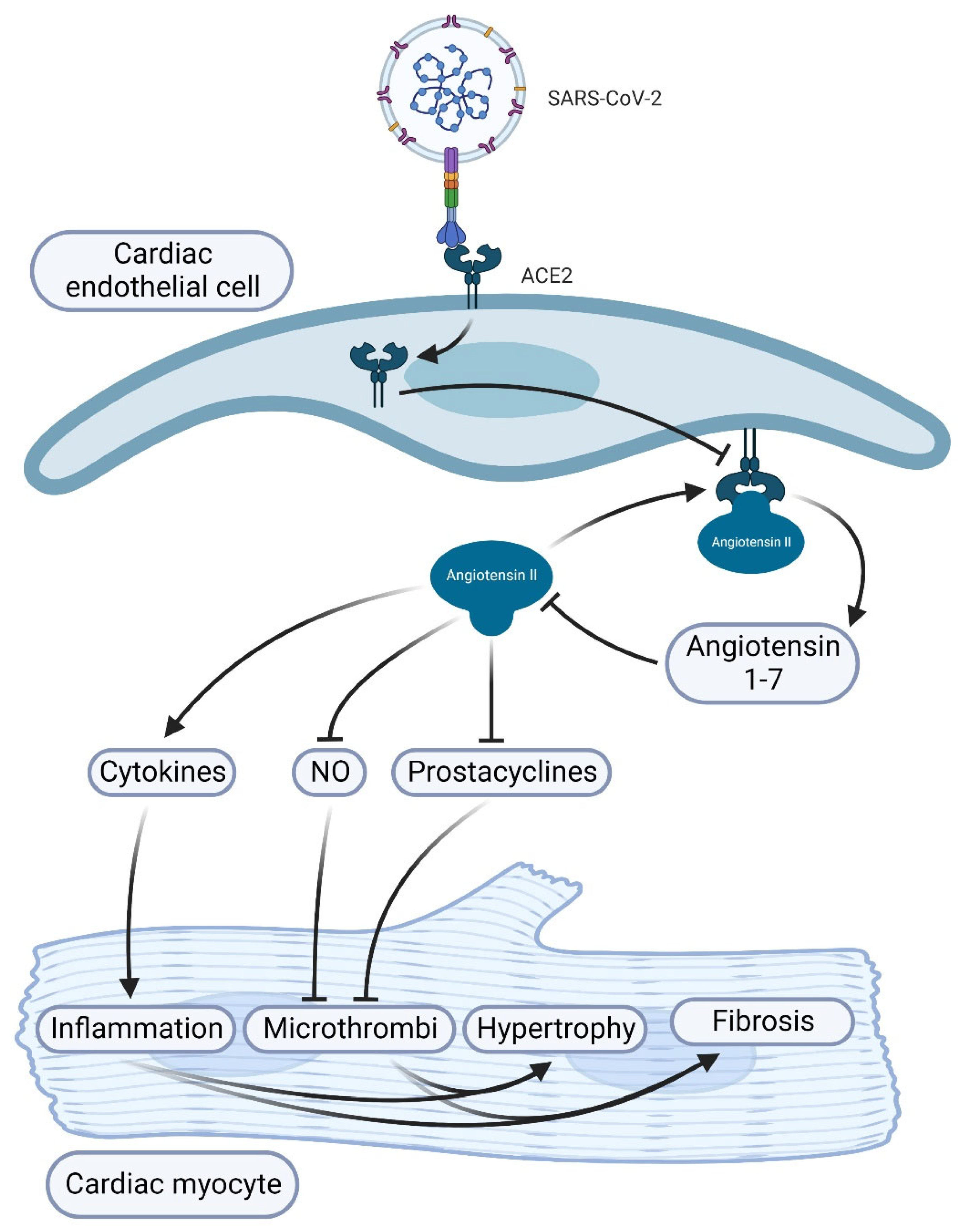 Vaccines 11 00362 g002 Vaccines 11 00362 g002