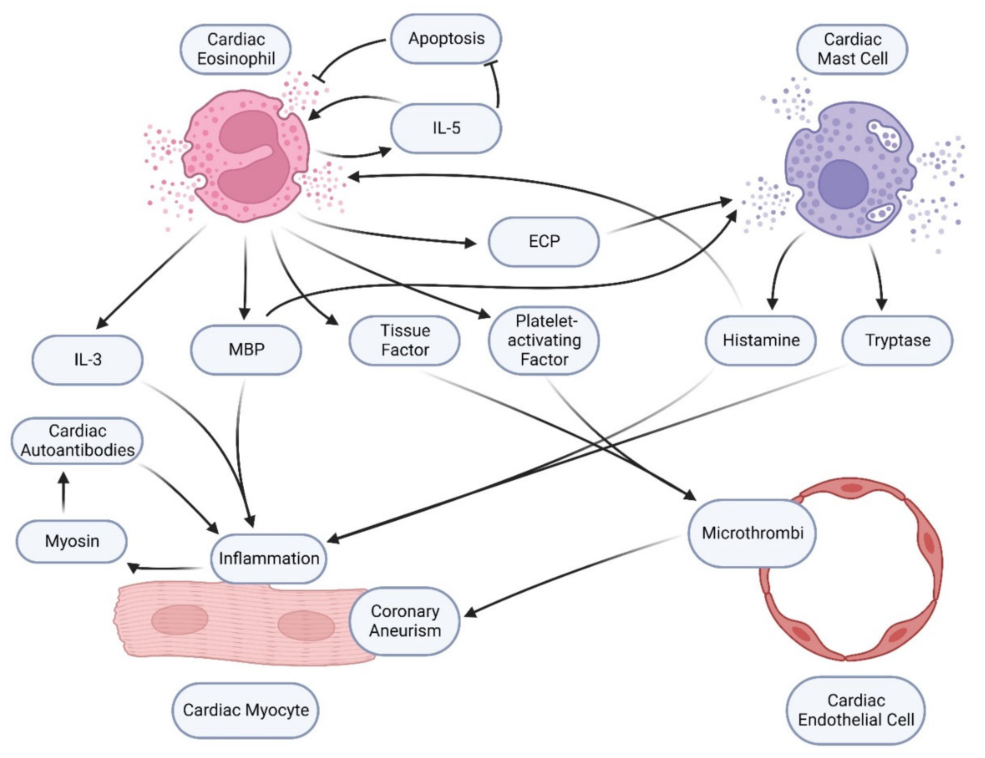 Vaccines 11 00362 g003 Vaccines 11 00362 g003