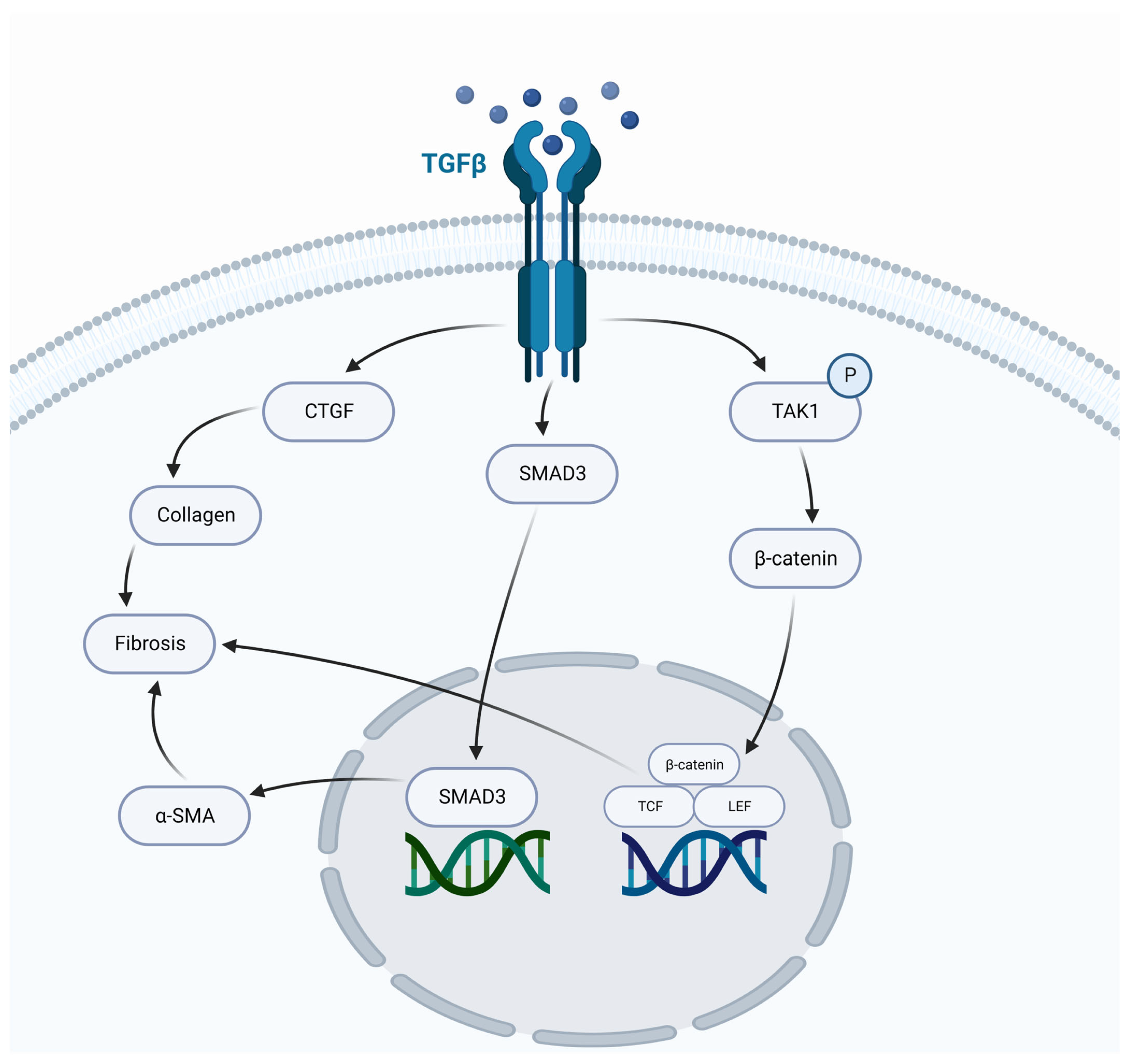 Vaccines 11 00362 g004 Vaccines 11 00362 g004