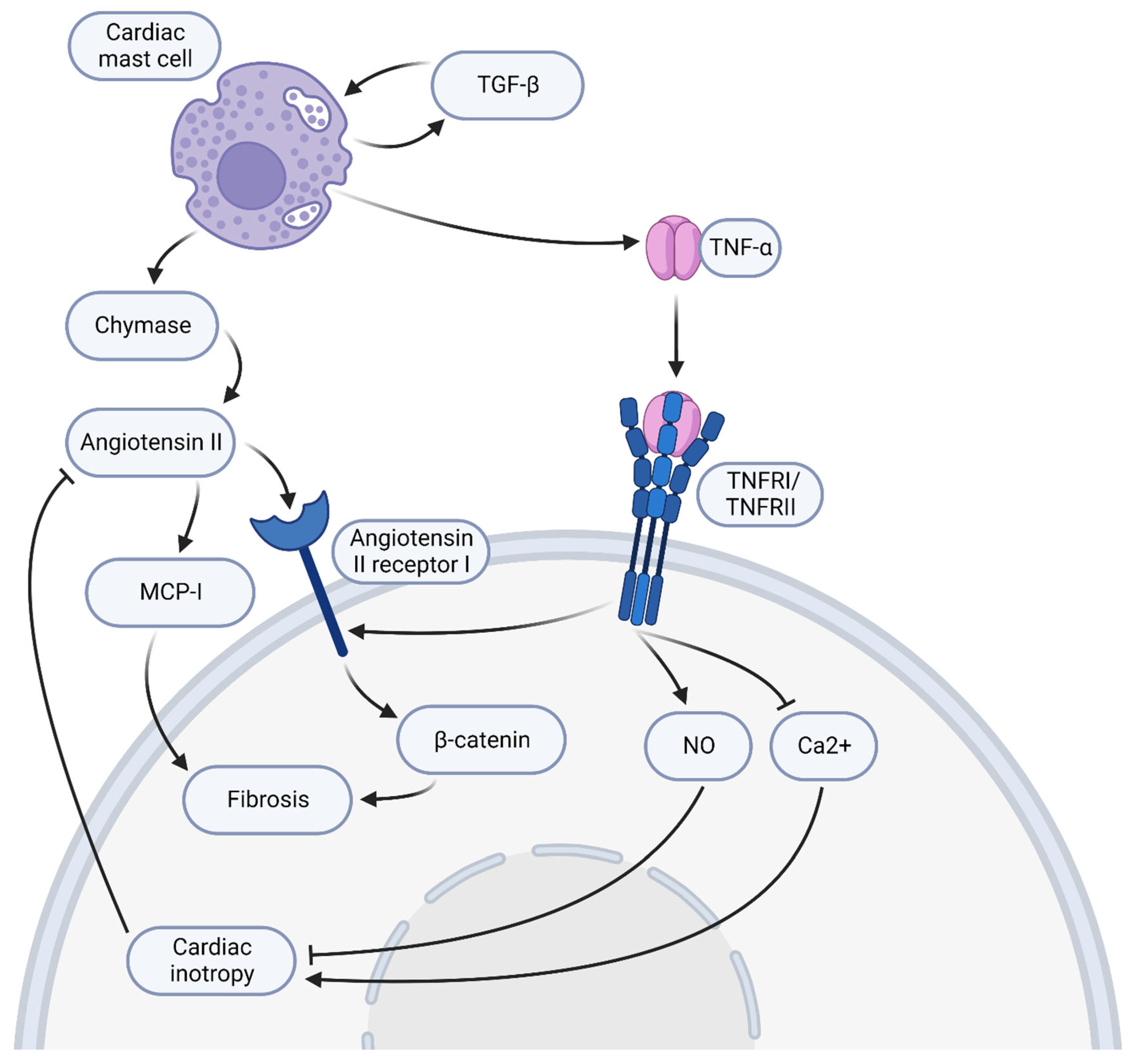 Vaccines 11 00362 g005 Vaccines 11 00362 g005