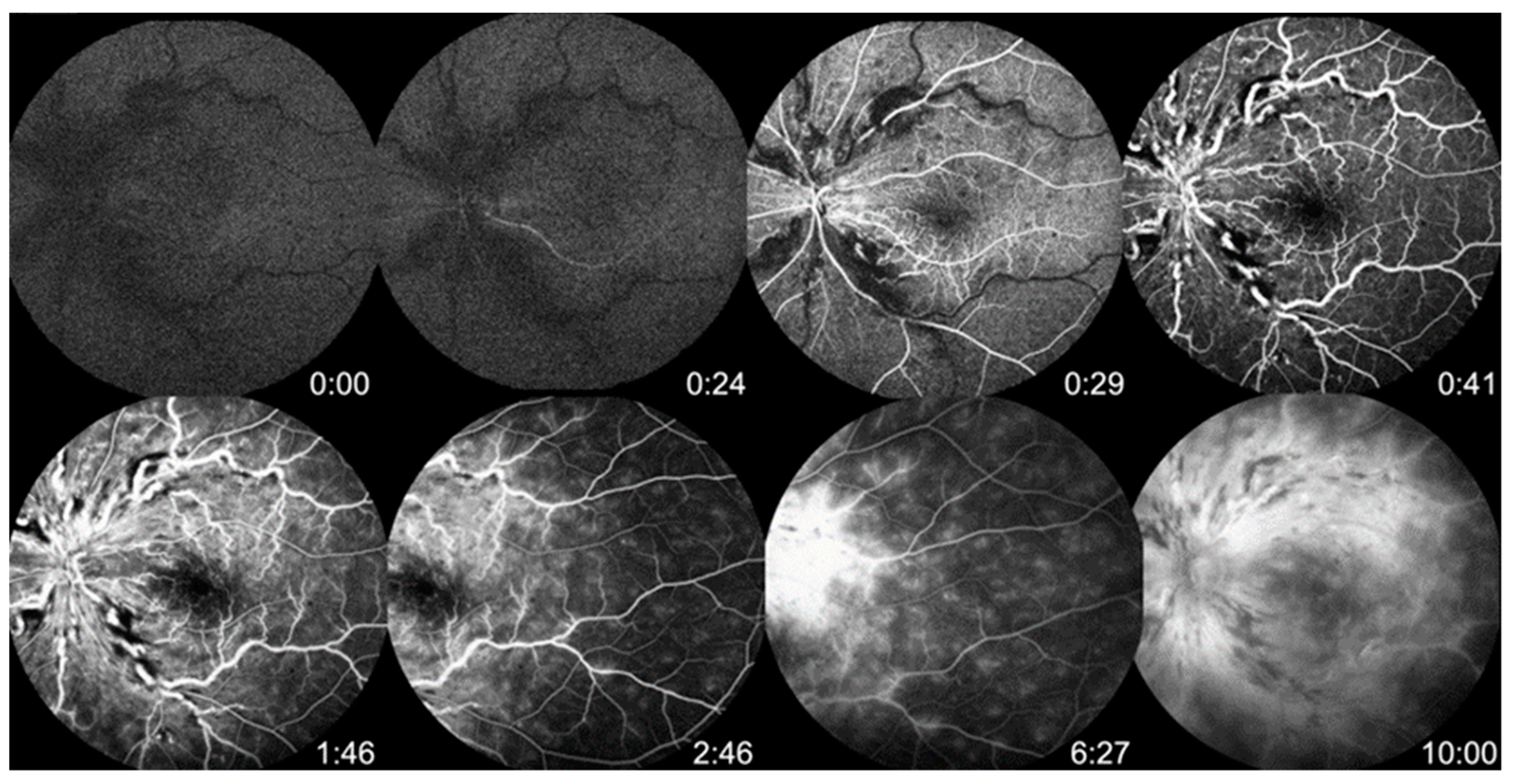 Vaccines 11 00365 g002 550