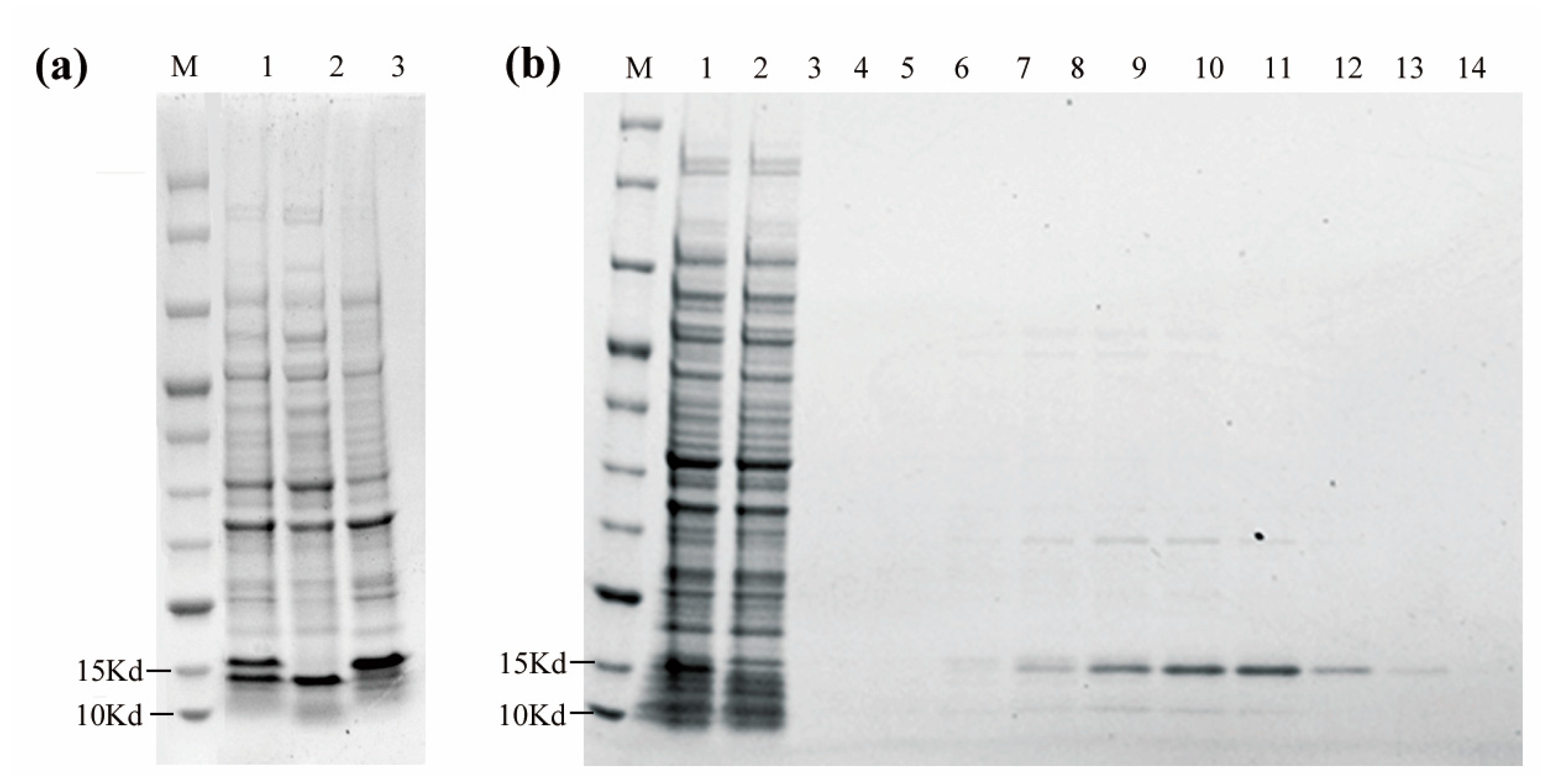 Vaccines 11 00371 g005