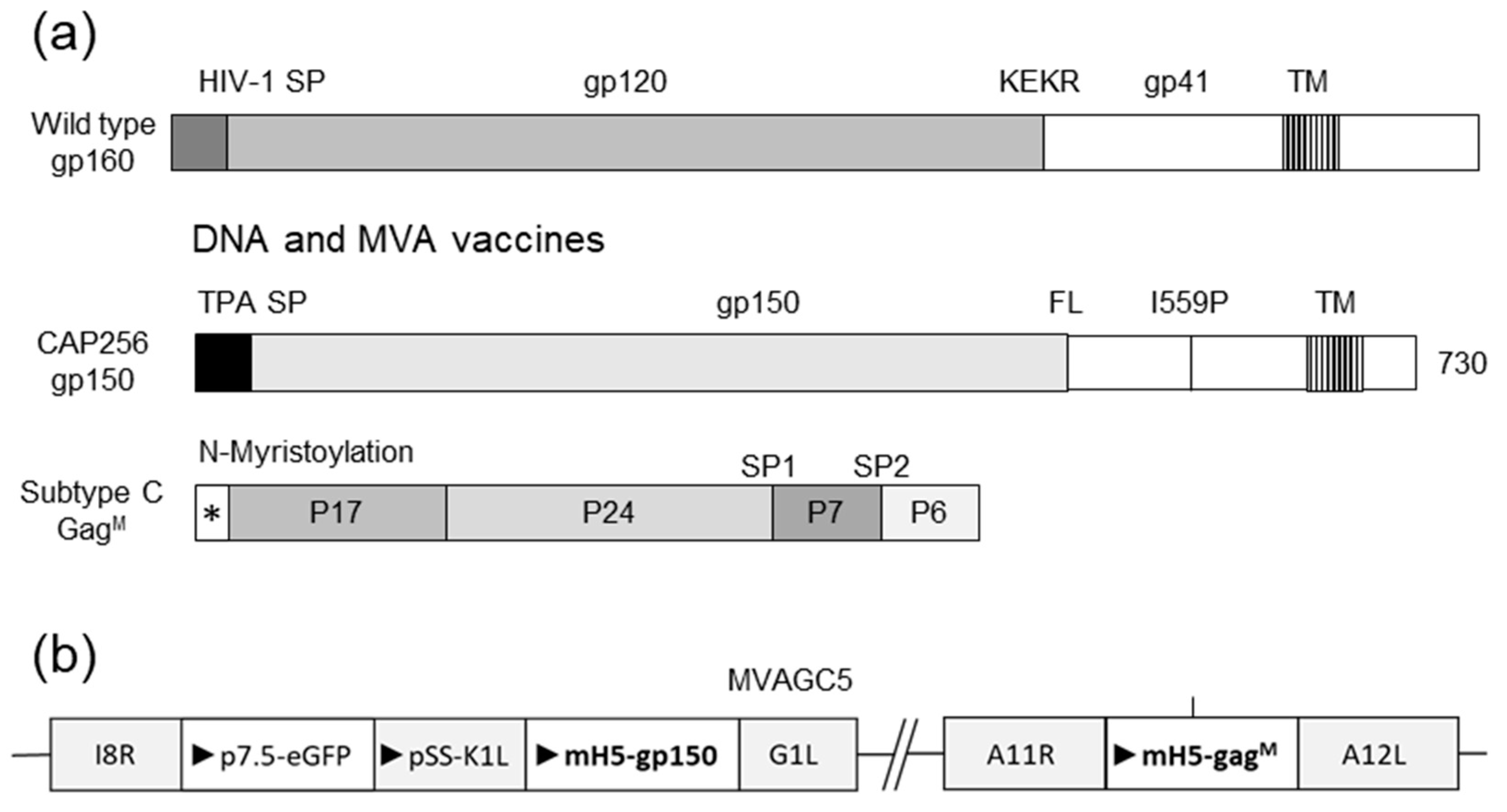 Vaccines 11 00376 g001 Vaccines 11 00376 g001