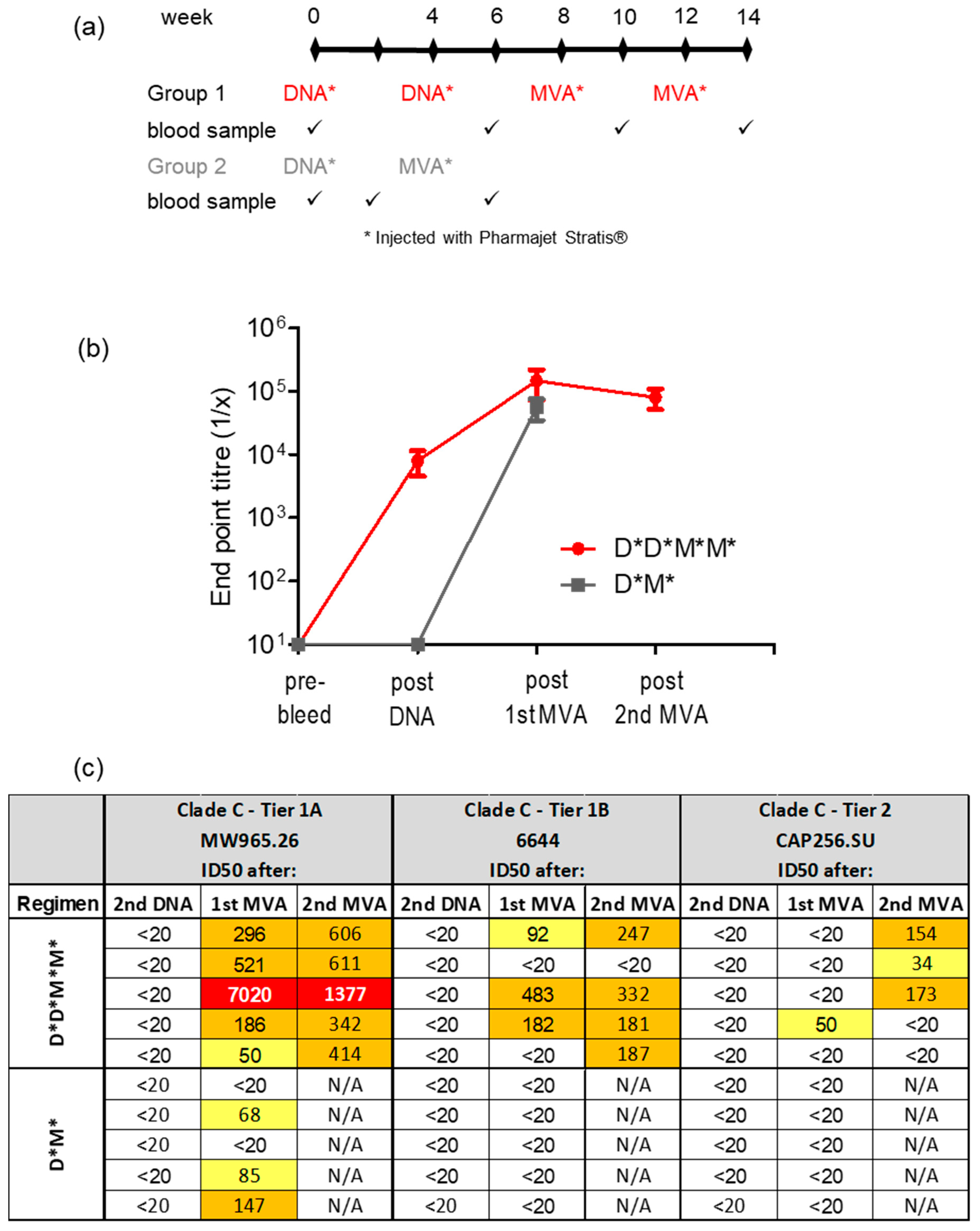 Vaccines 11 00376 g004 Vaccines 11 00376 g004