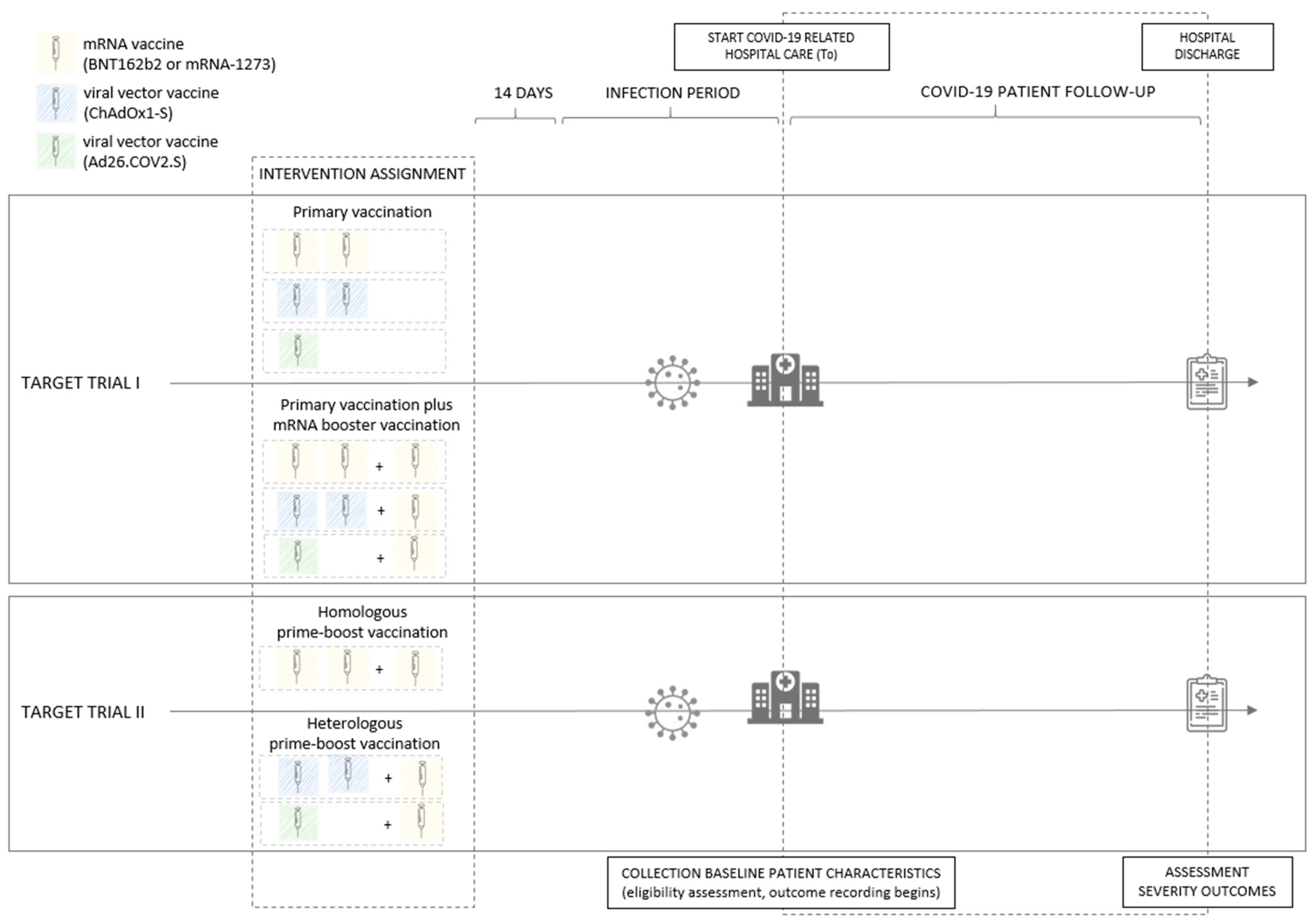 Vaccines 11 00378 g001