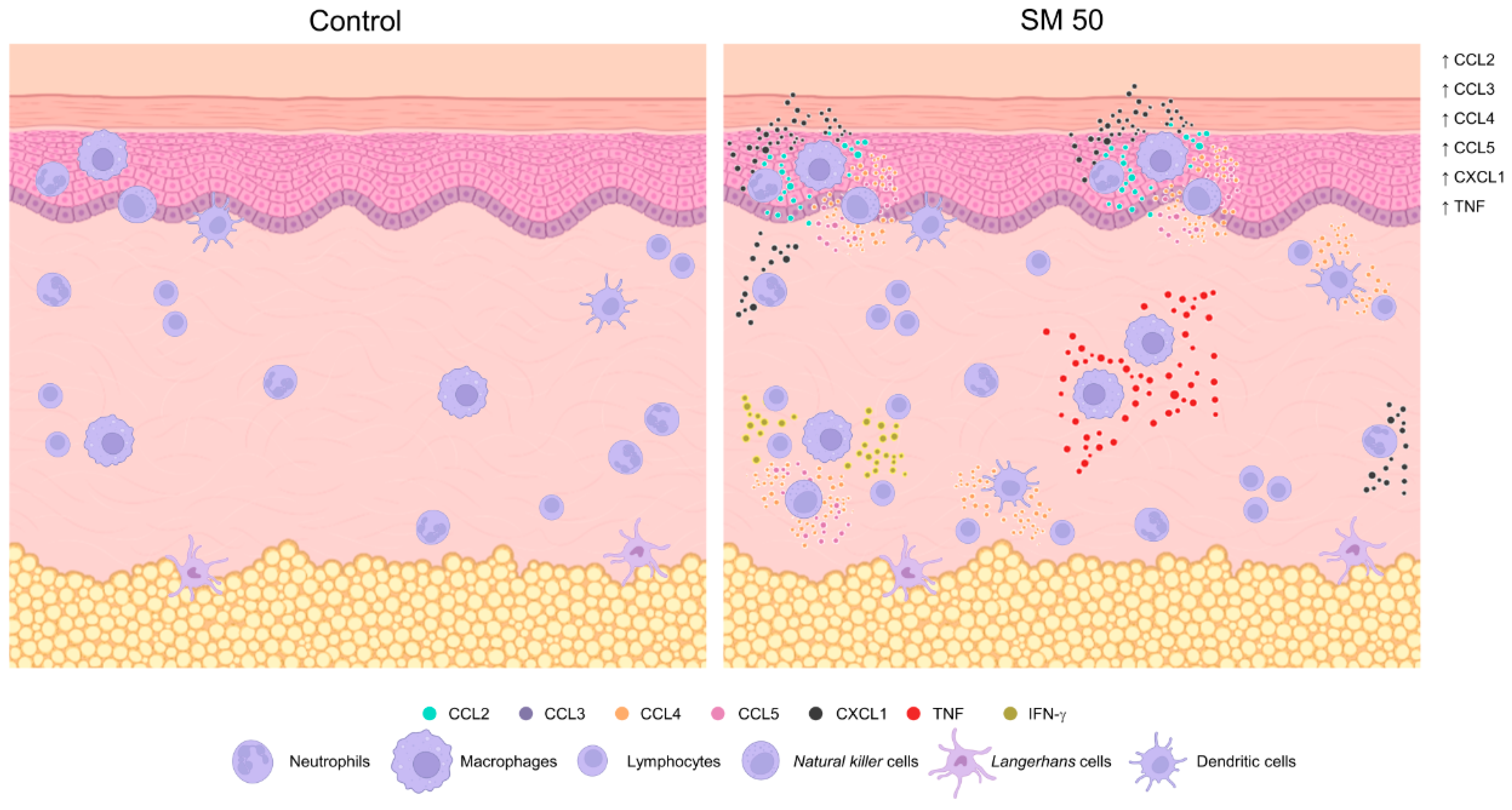 Vaccines 11 00395 g005 Vaccines 11 00395 g005