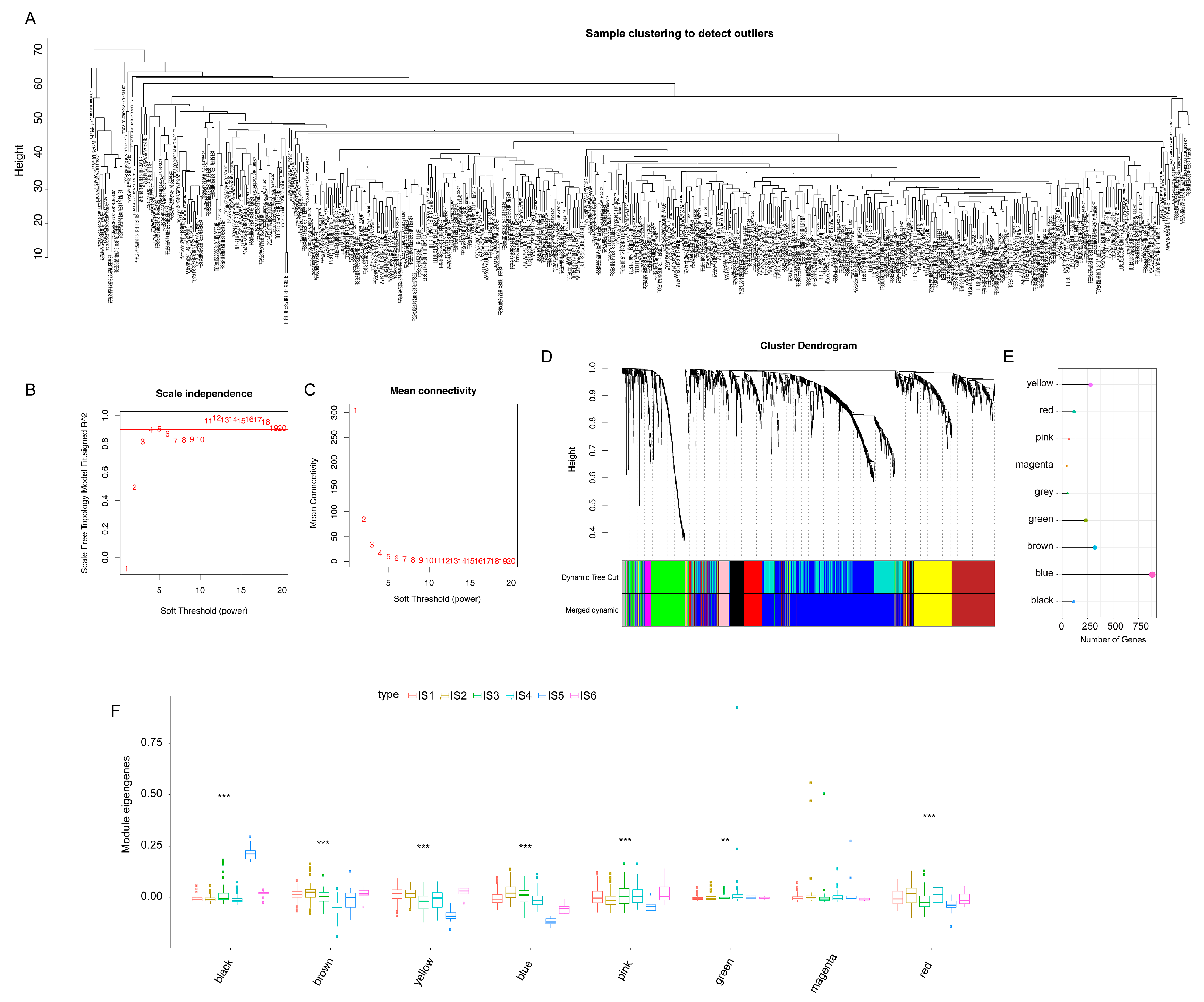 Vaccines 11 00396 g010