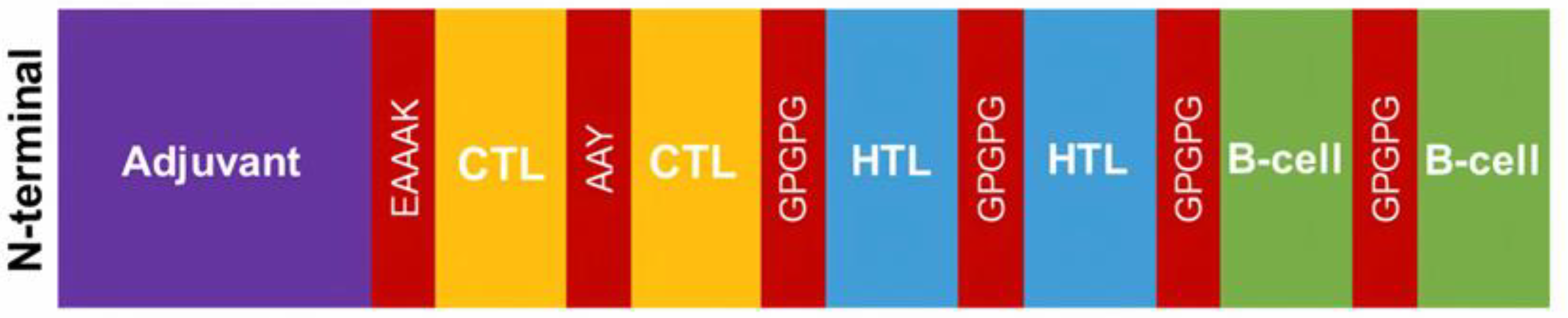 Vaccines 11 00399 g001