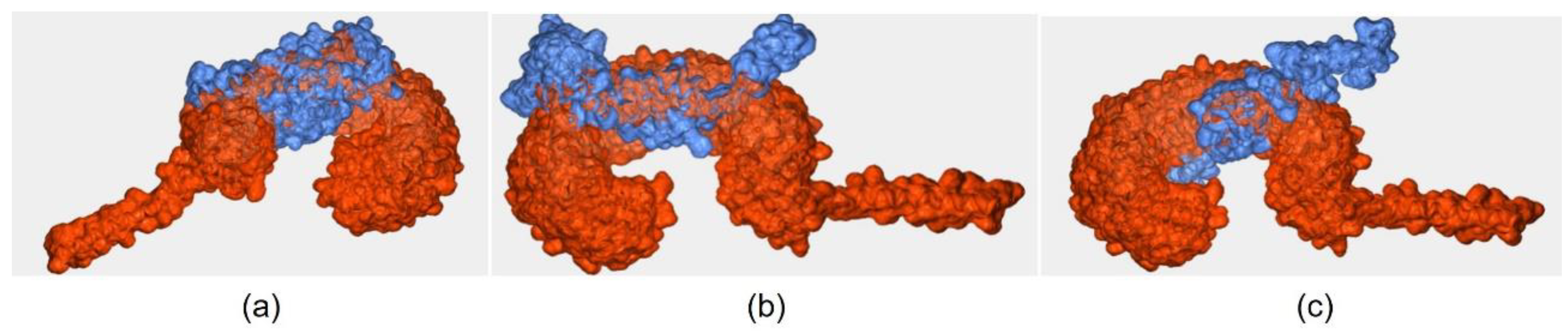 Vaccines 11 00399 g004