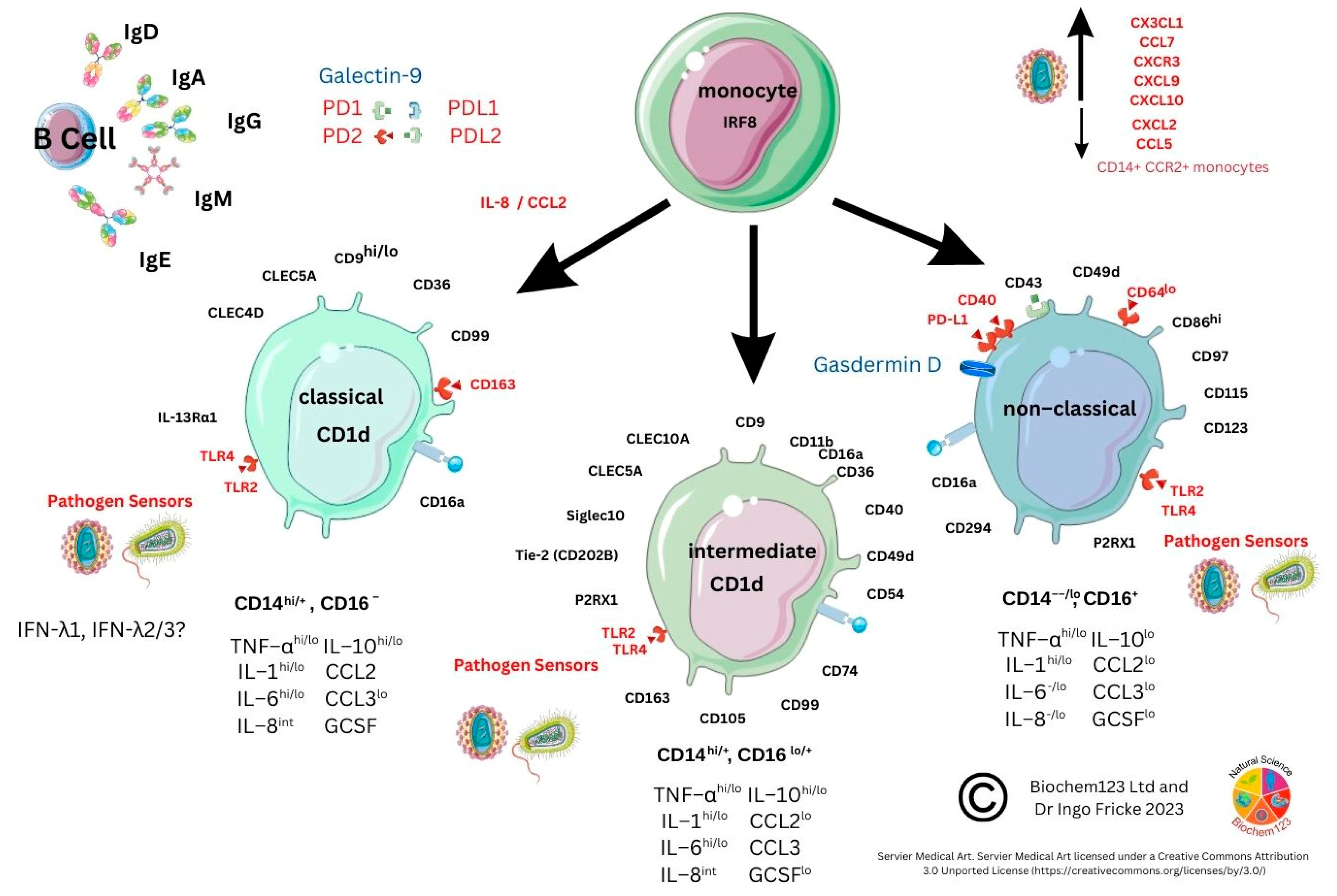 Vaccines 11 00408 g005 Vaccines 11 00408 g005