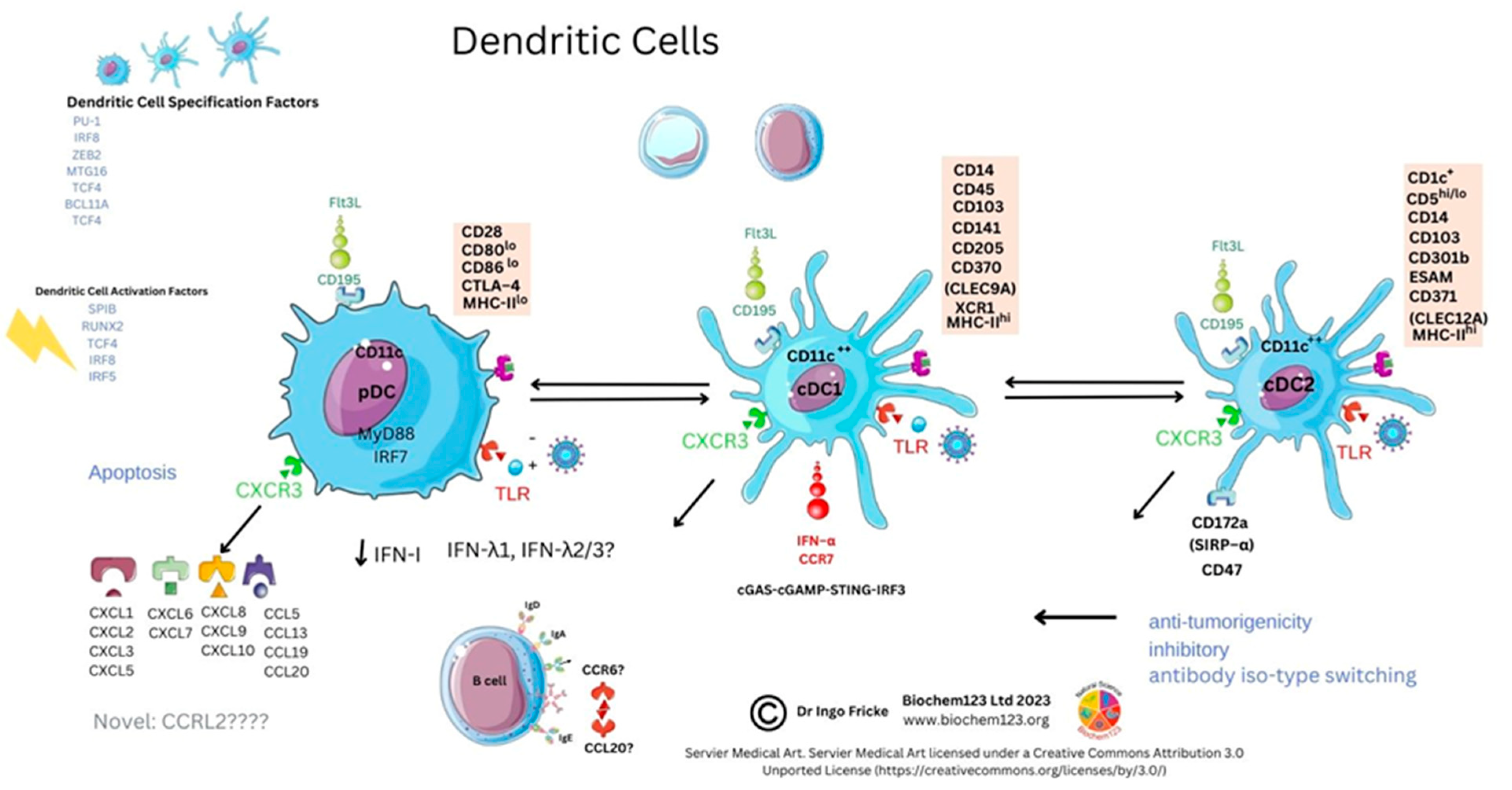Vaccines 11 00408 g009 Vaccines 11 00408 g009