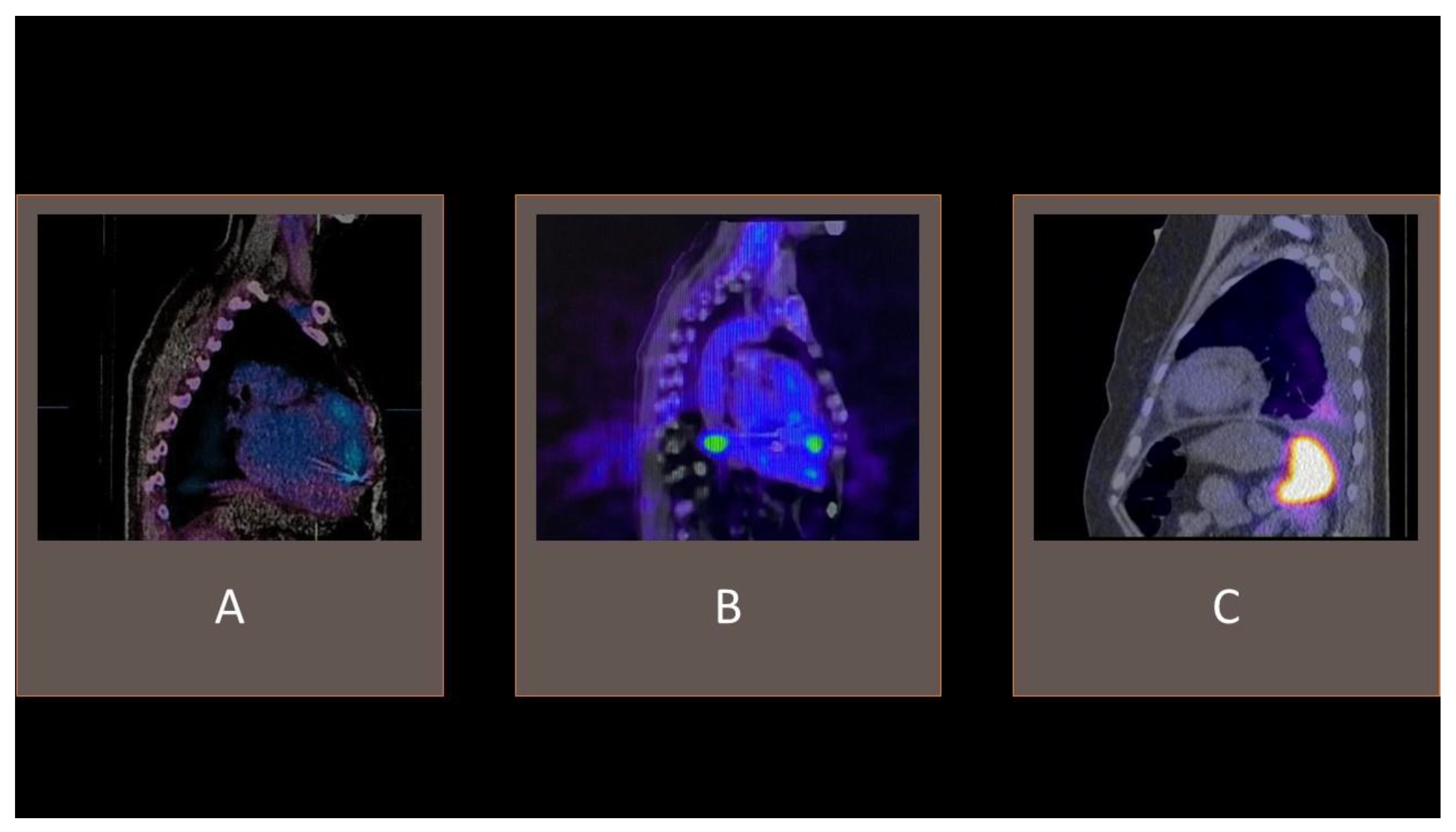 Vaccines 11 00420 g004