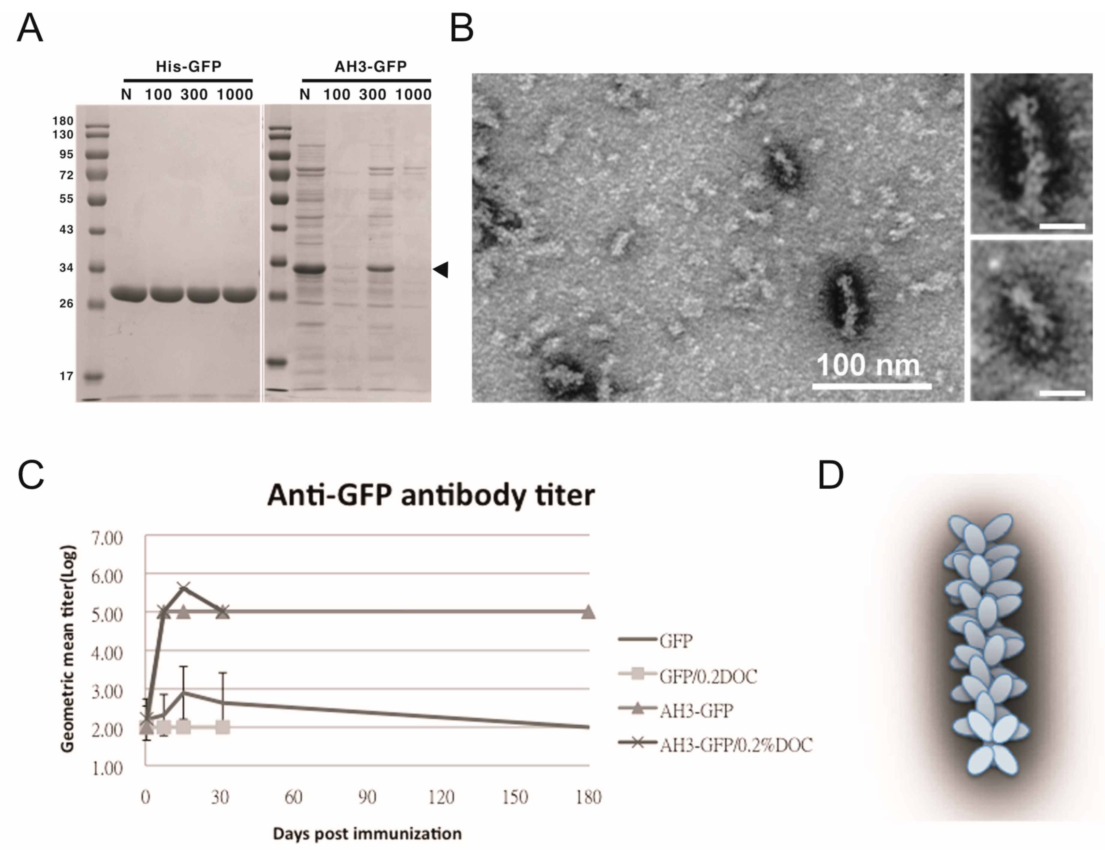 Vaccines 11 00426 g001