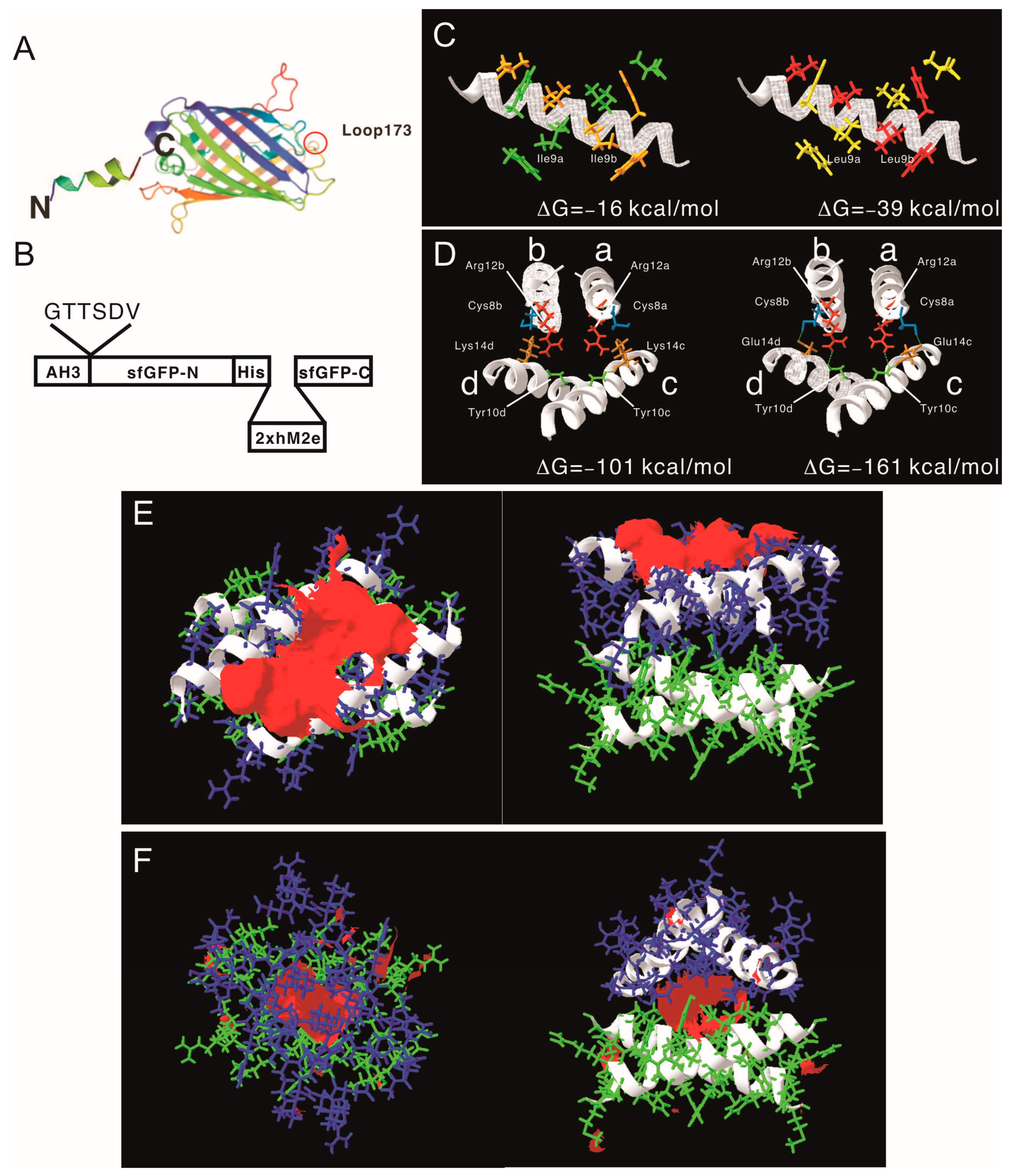 Vaccines 11 00426 g003