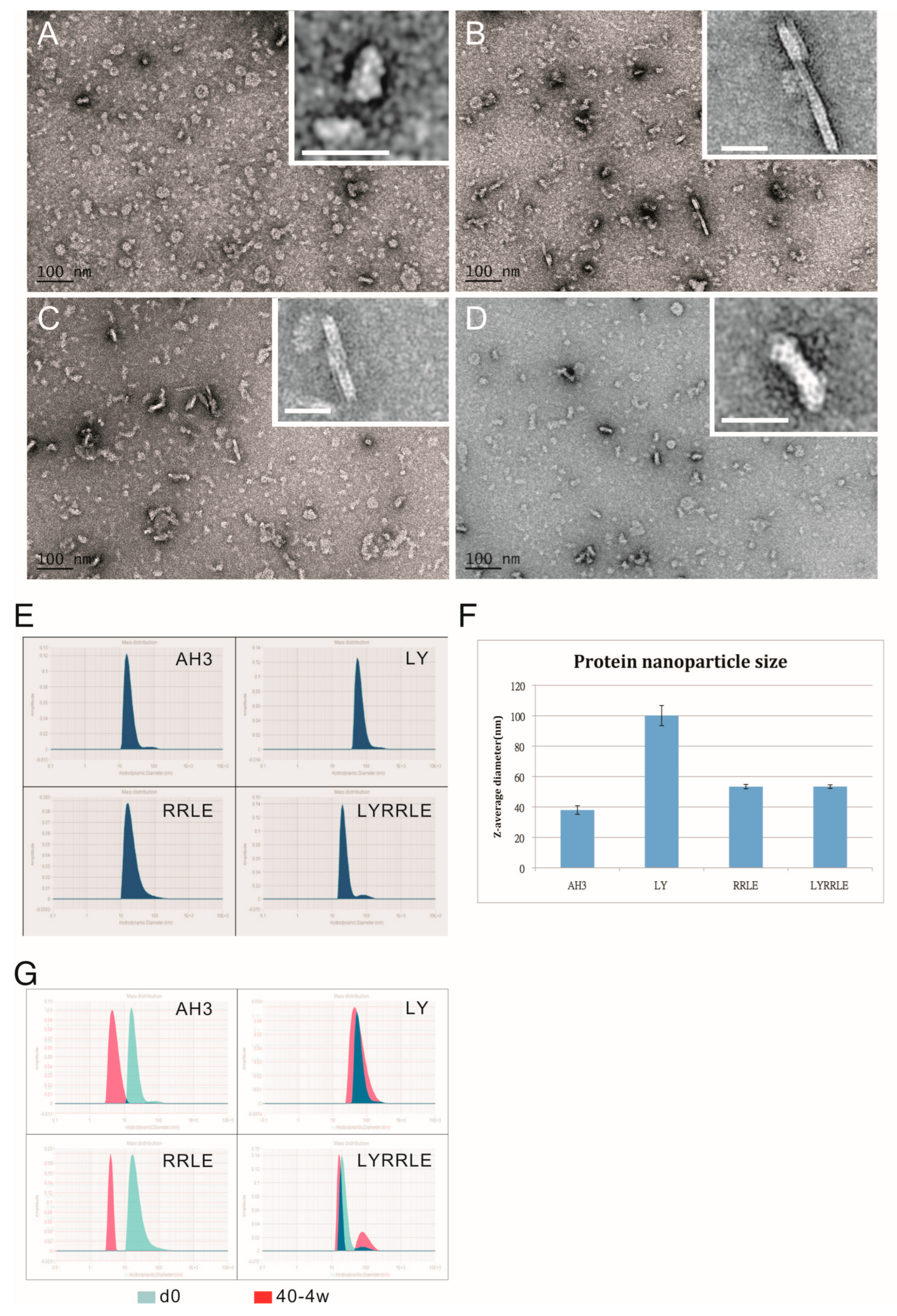 Vaccines 11 00426 g005