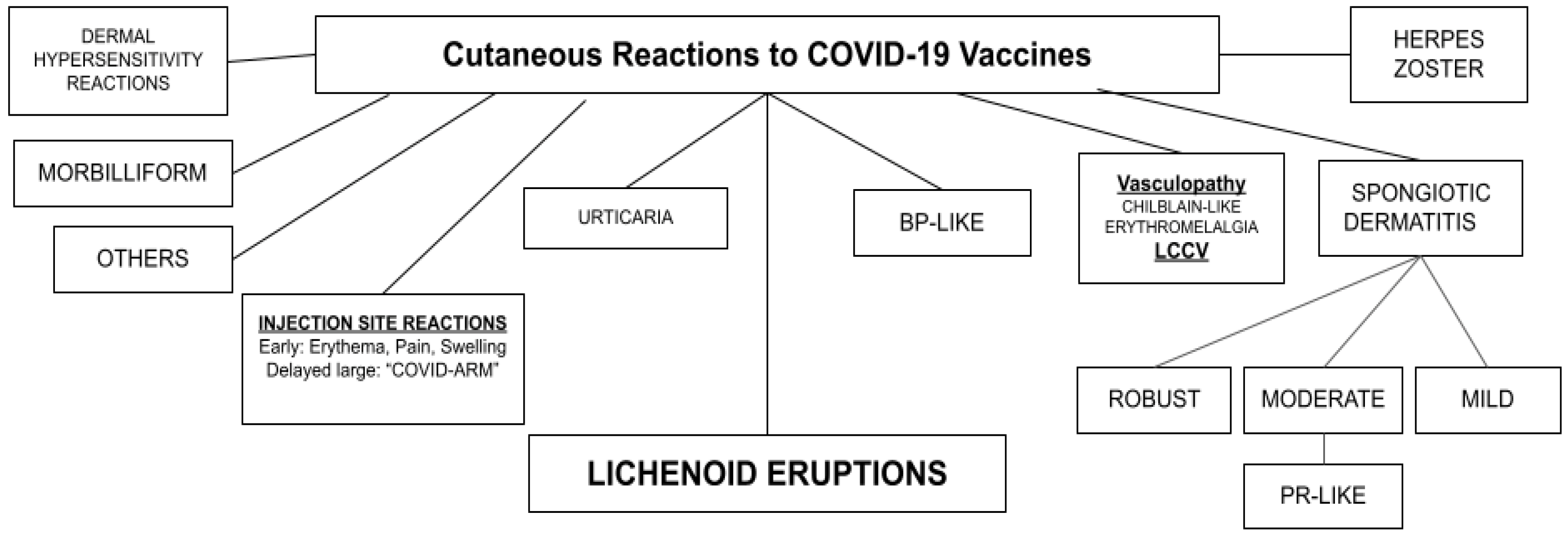 Vaccines 11 00438 g001