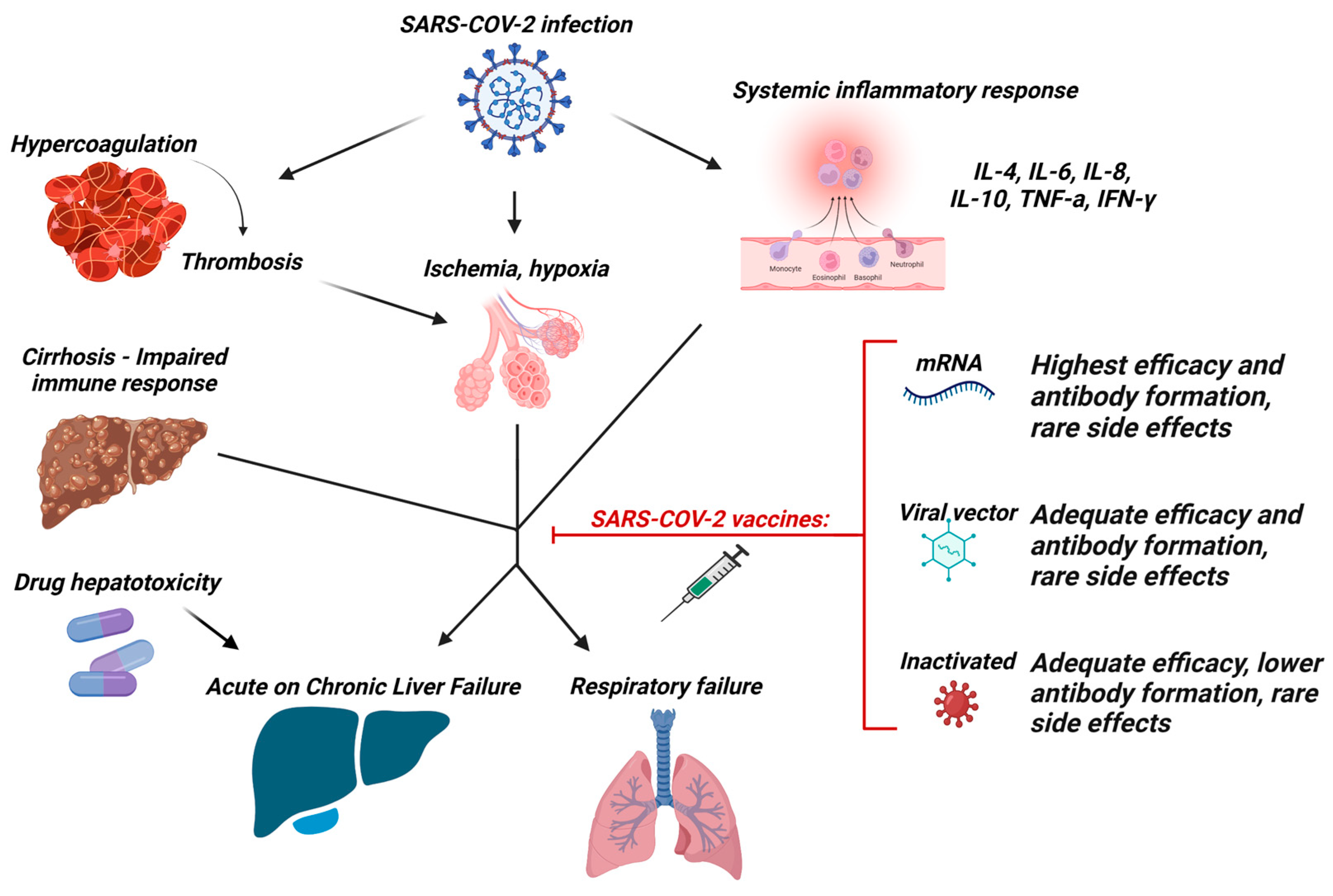 Vaccines 11 00452 g001 Vaccines 11 00452 g001