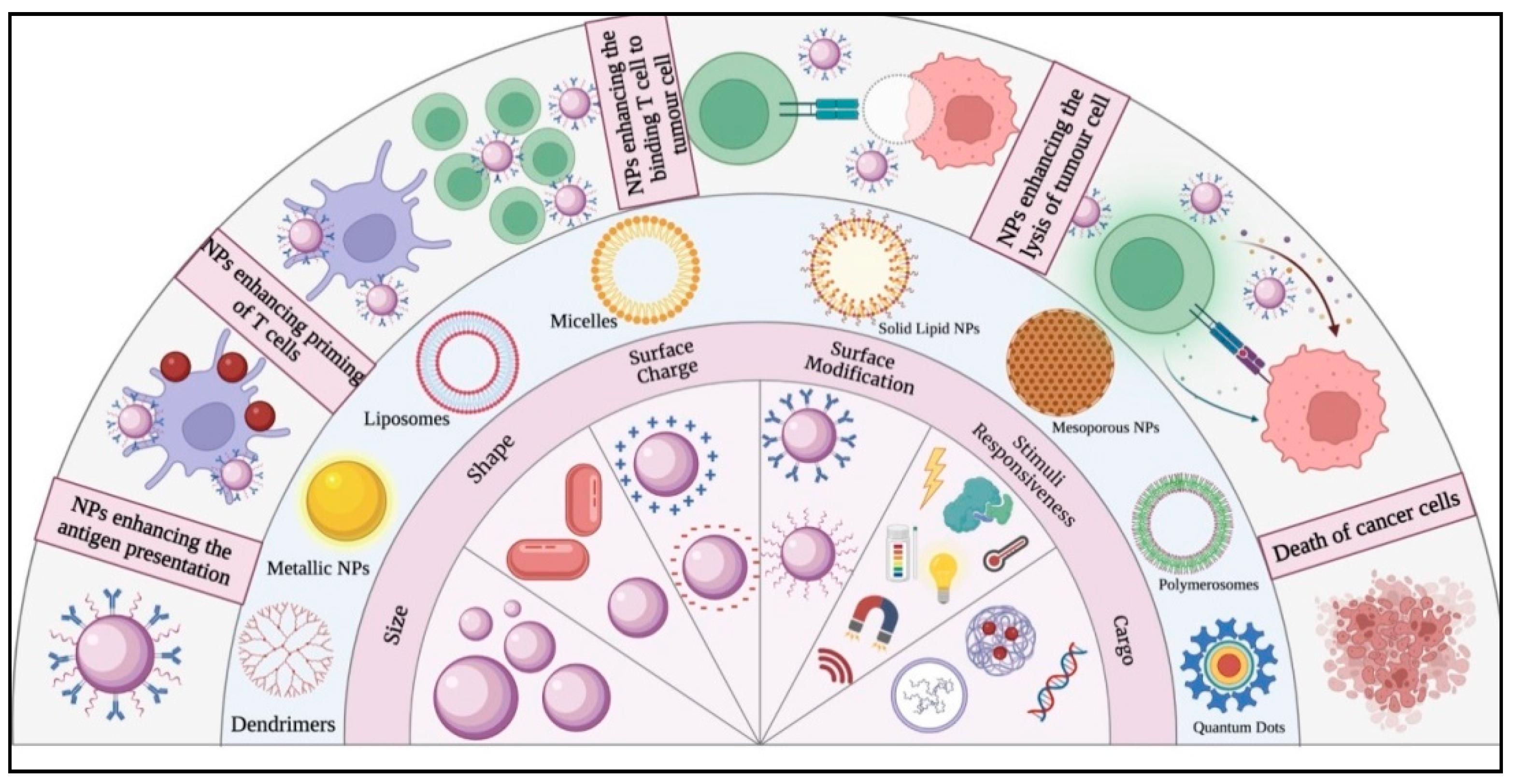 Vaccines 11 00458 g001