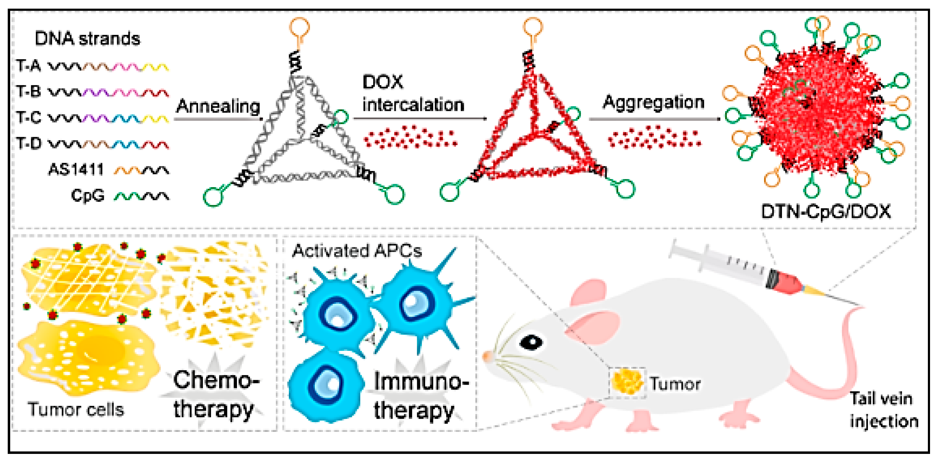Vaccines 11 00458 g006