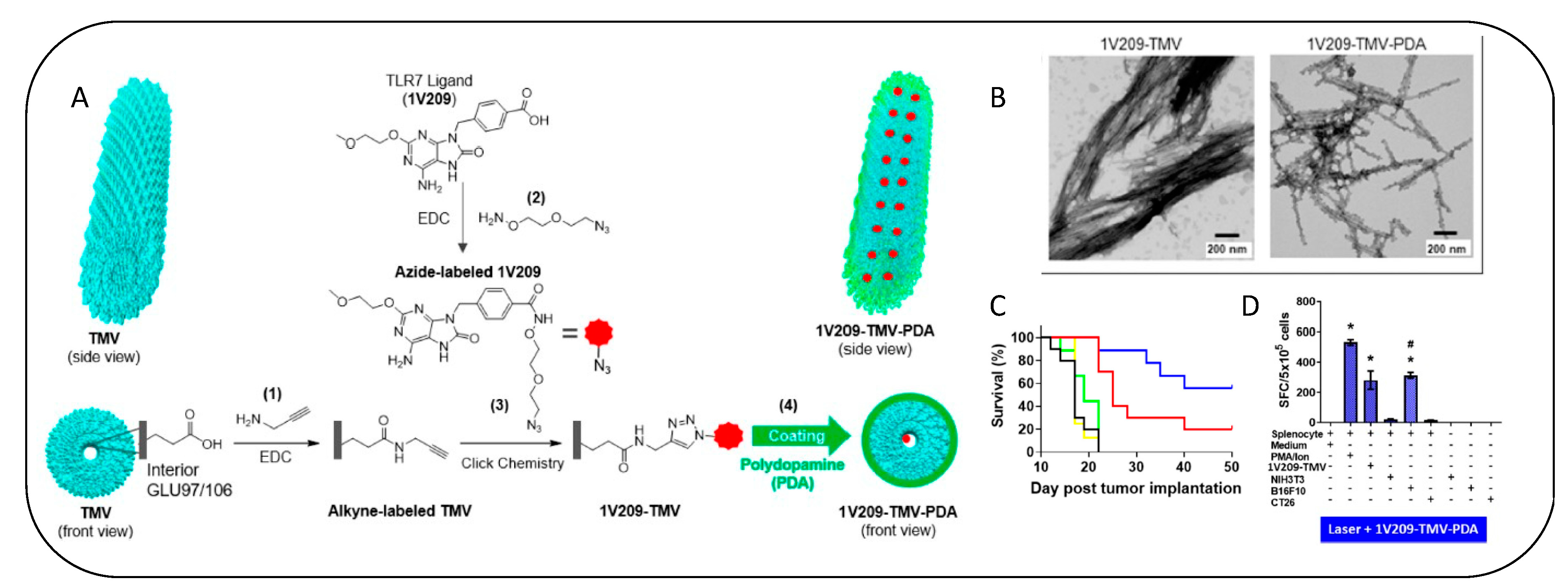 Vaccines 11 00458 g009