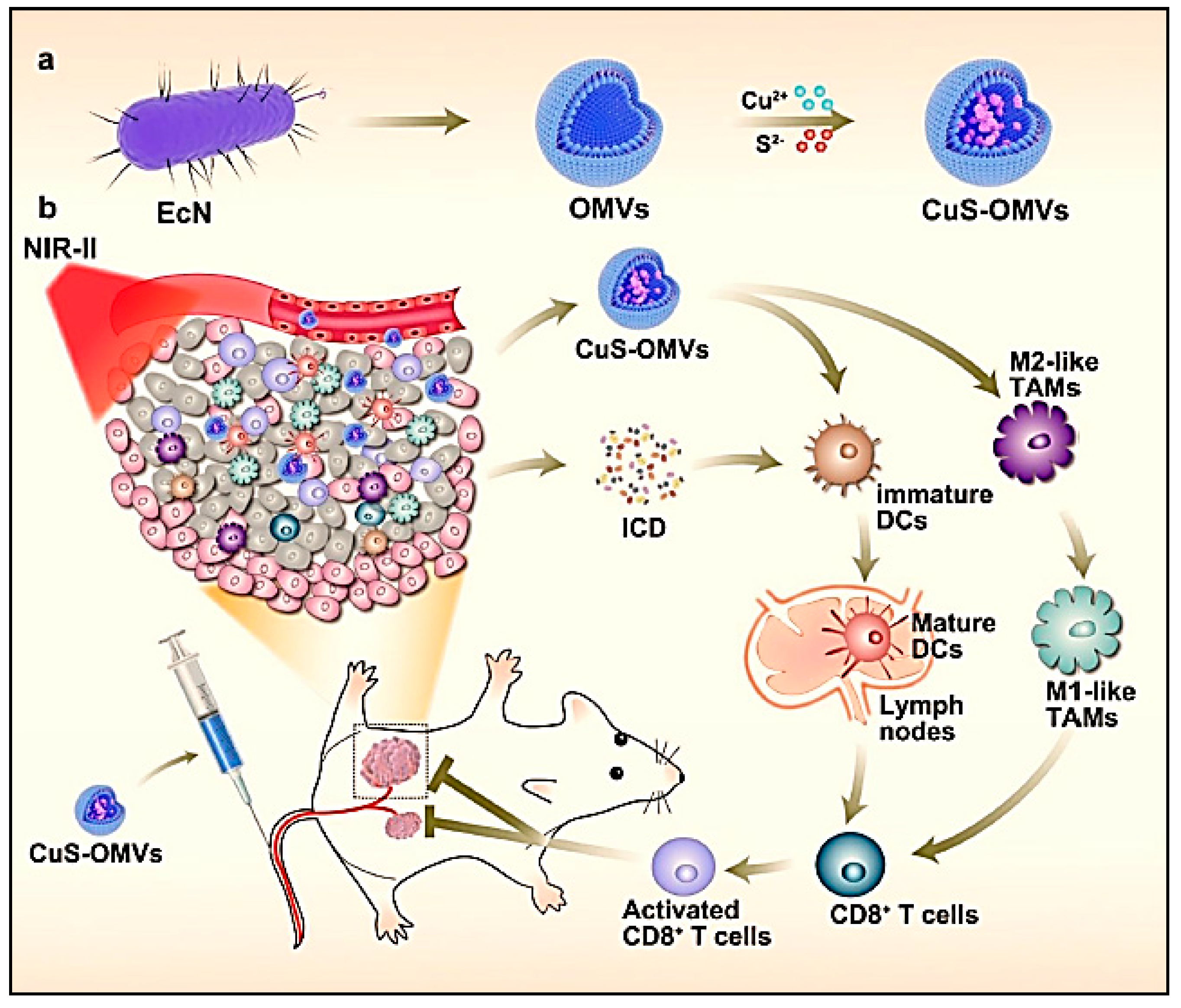 Vaccines 11 00458 g013