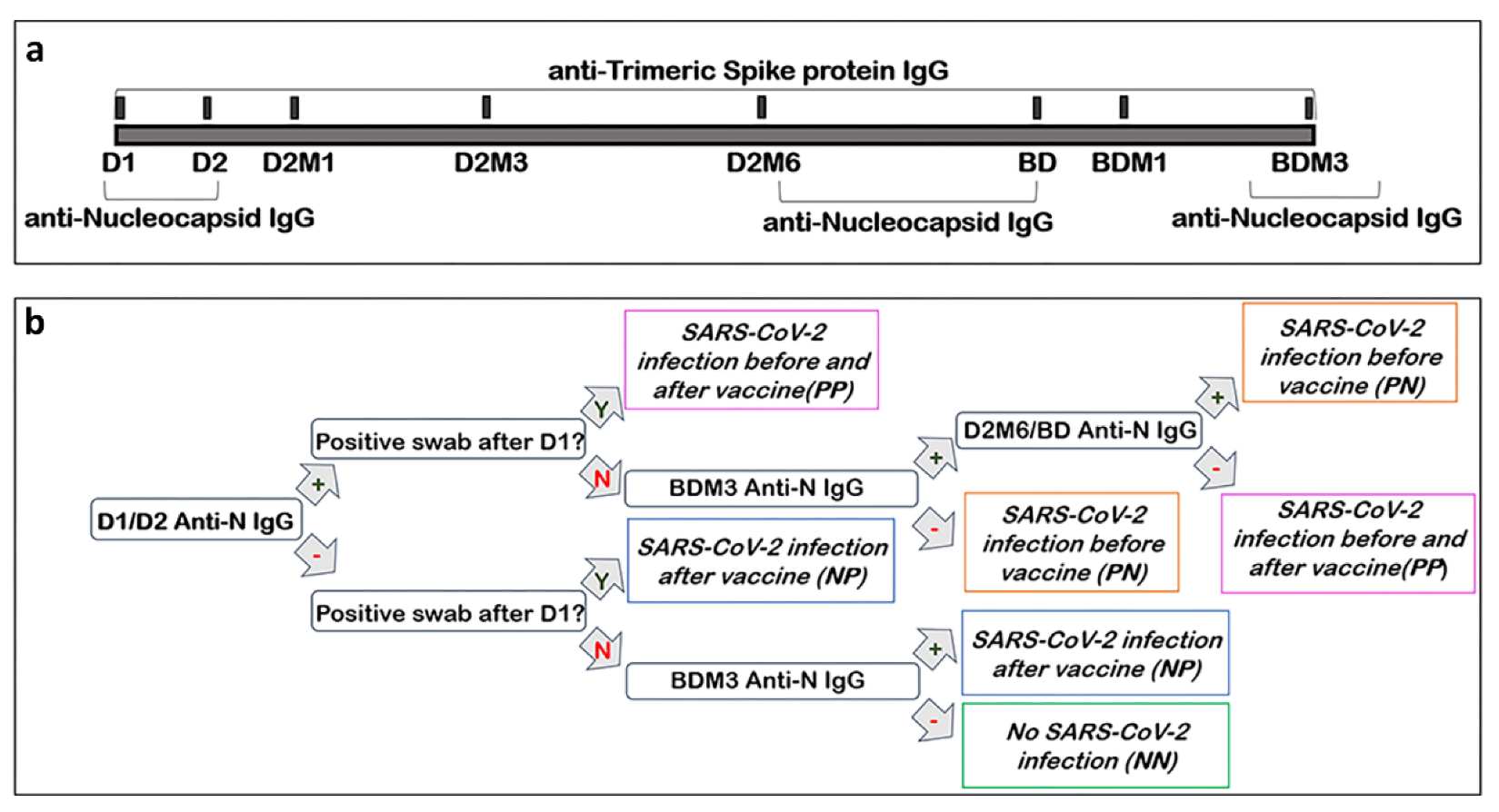 Vaccines 11 00463 g001
