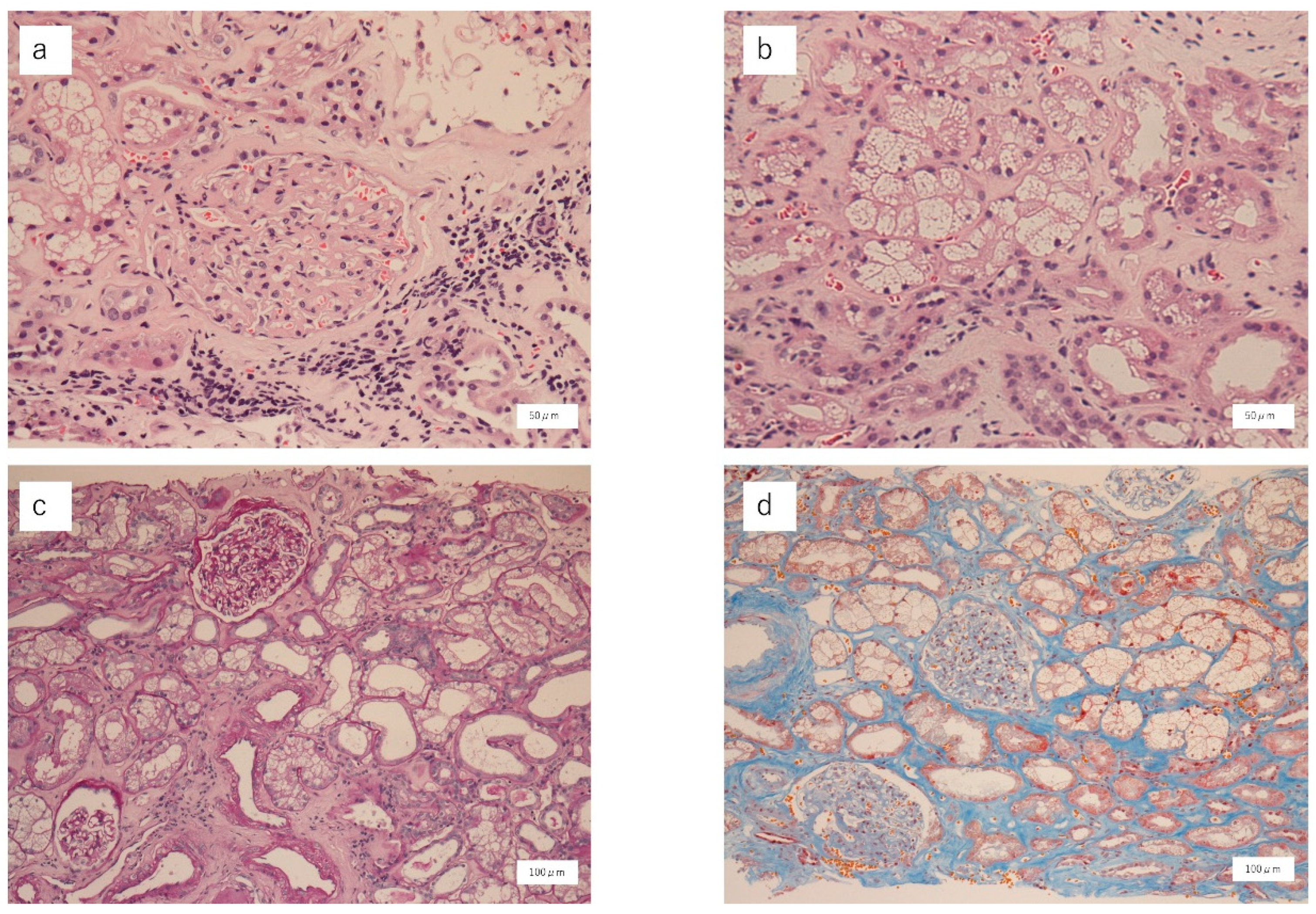 Vaccines 11 00464 g001