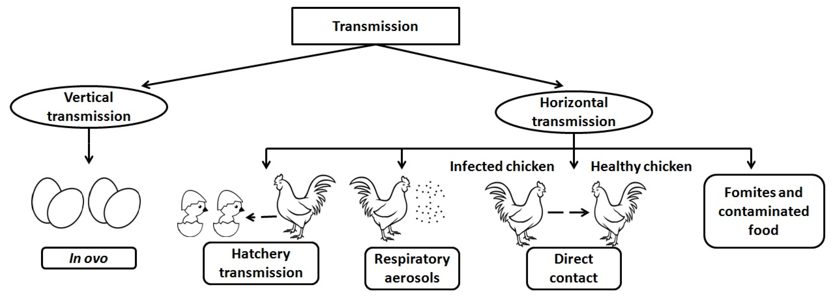 Vaccines 11 00469 g002 Vaccines 11 00469 g002