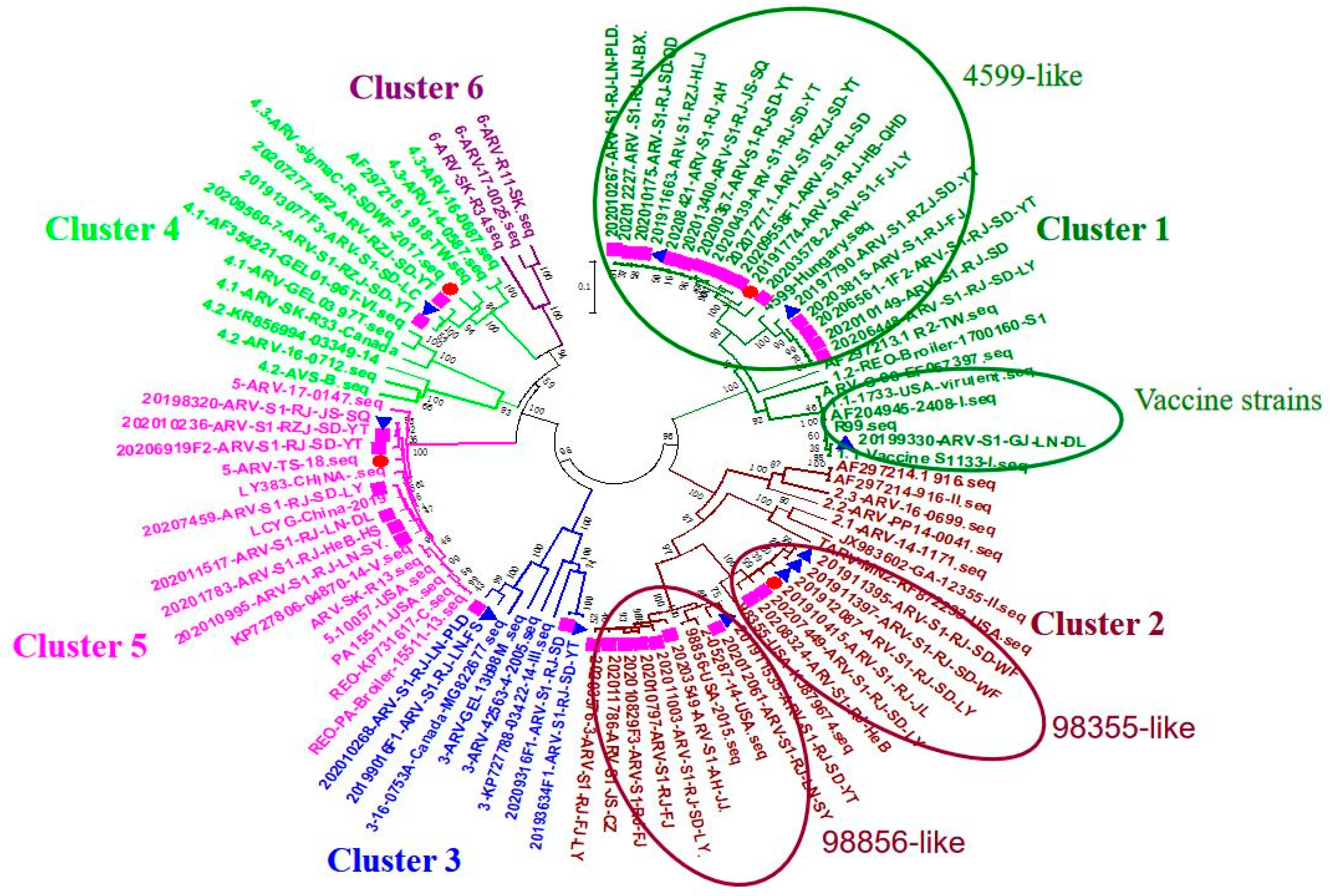 Vaccines 11 00485 g001 Vaccines 11 00485 g001