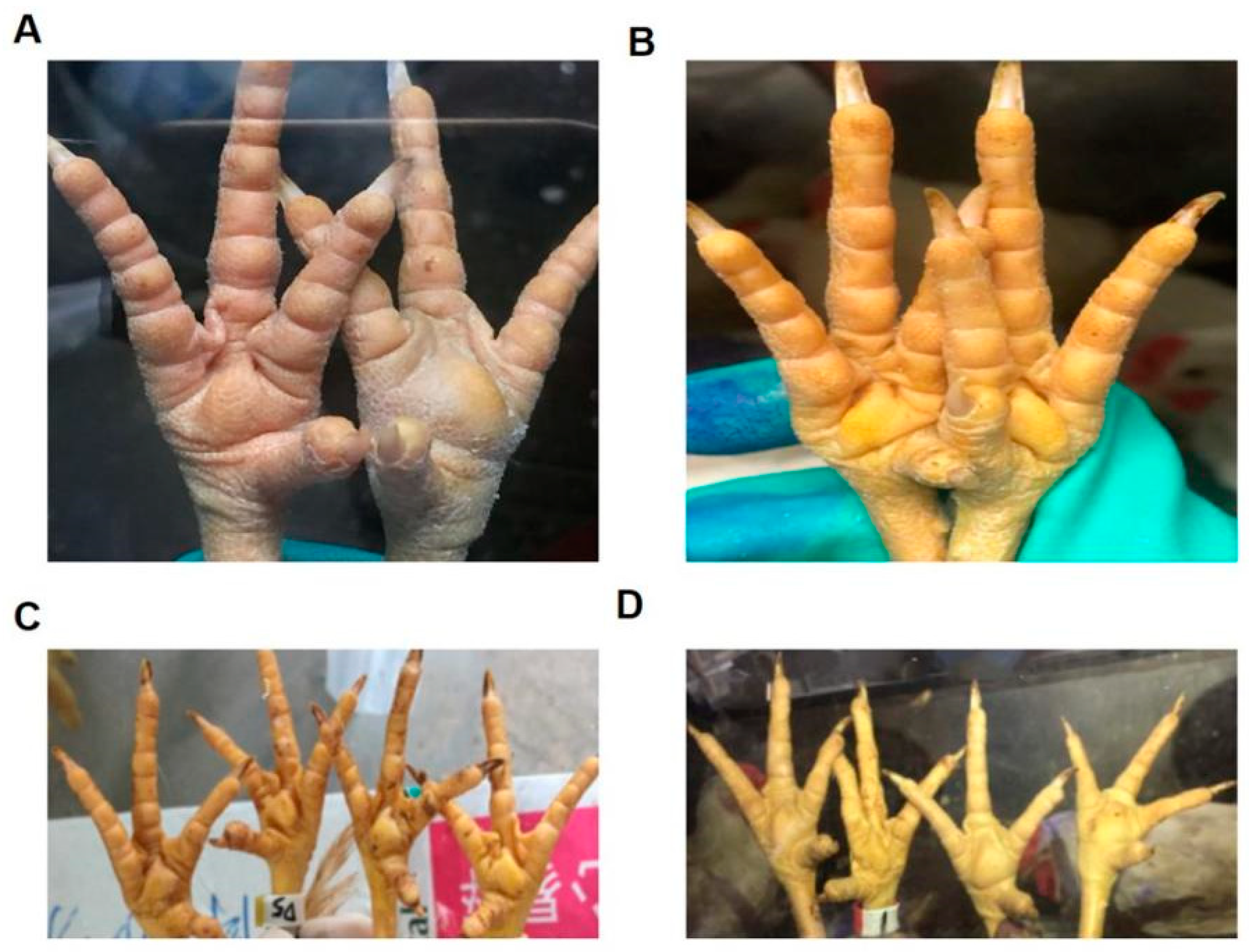 Vaccines 11 00485 g003 Vaccines 11 00485 g003