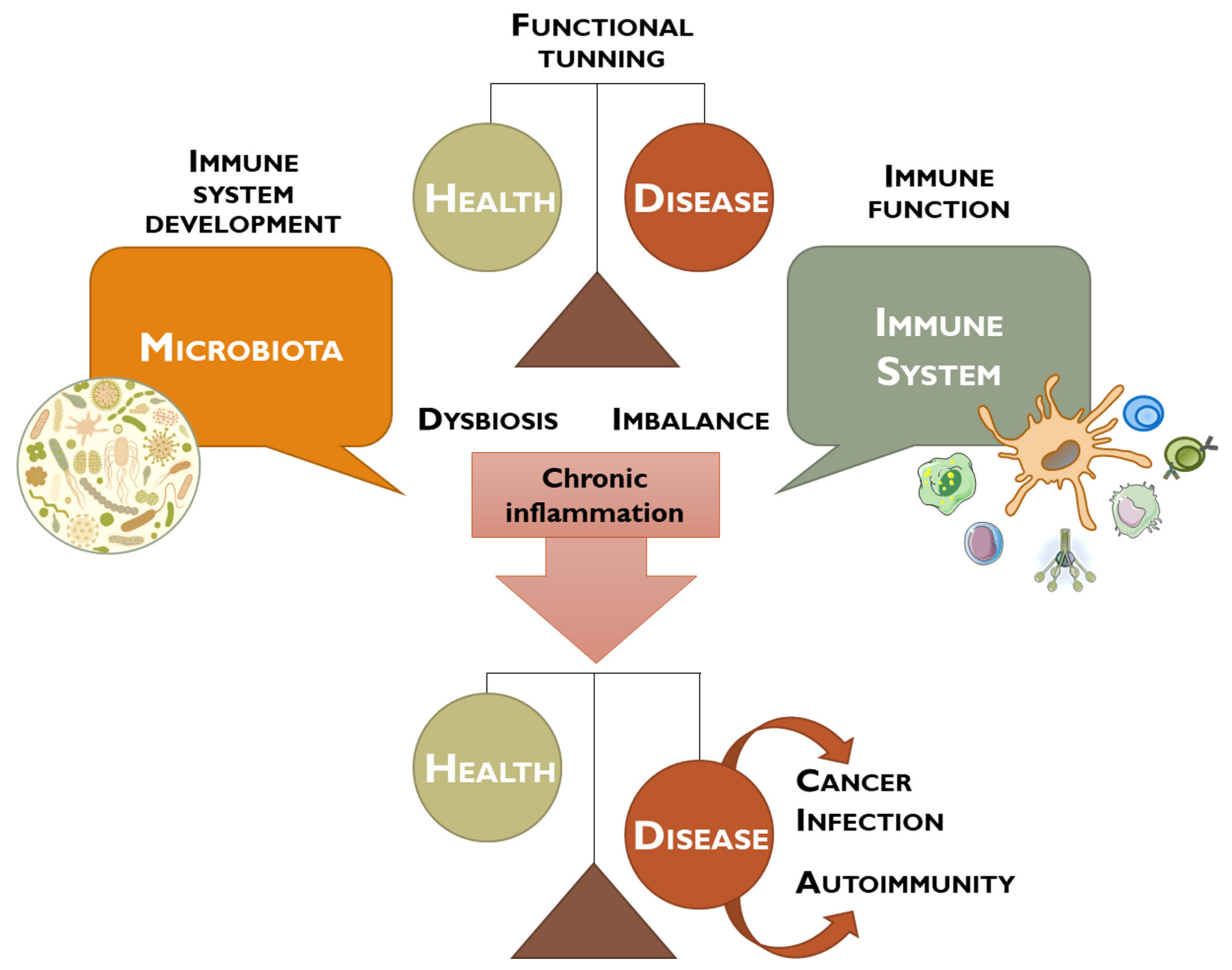 Vaccines 11 00492 g001 Vaccines 11 00492 g001