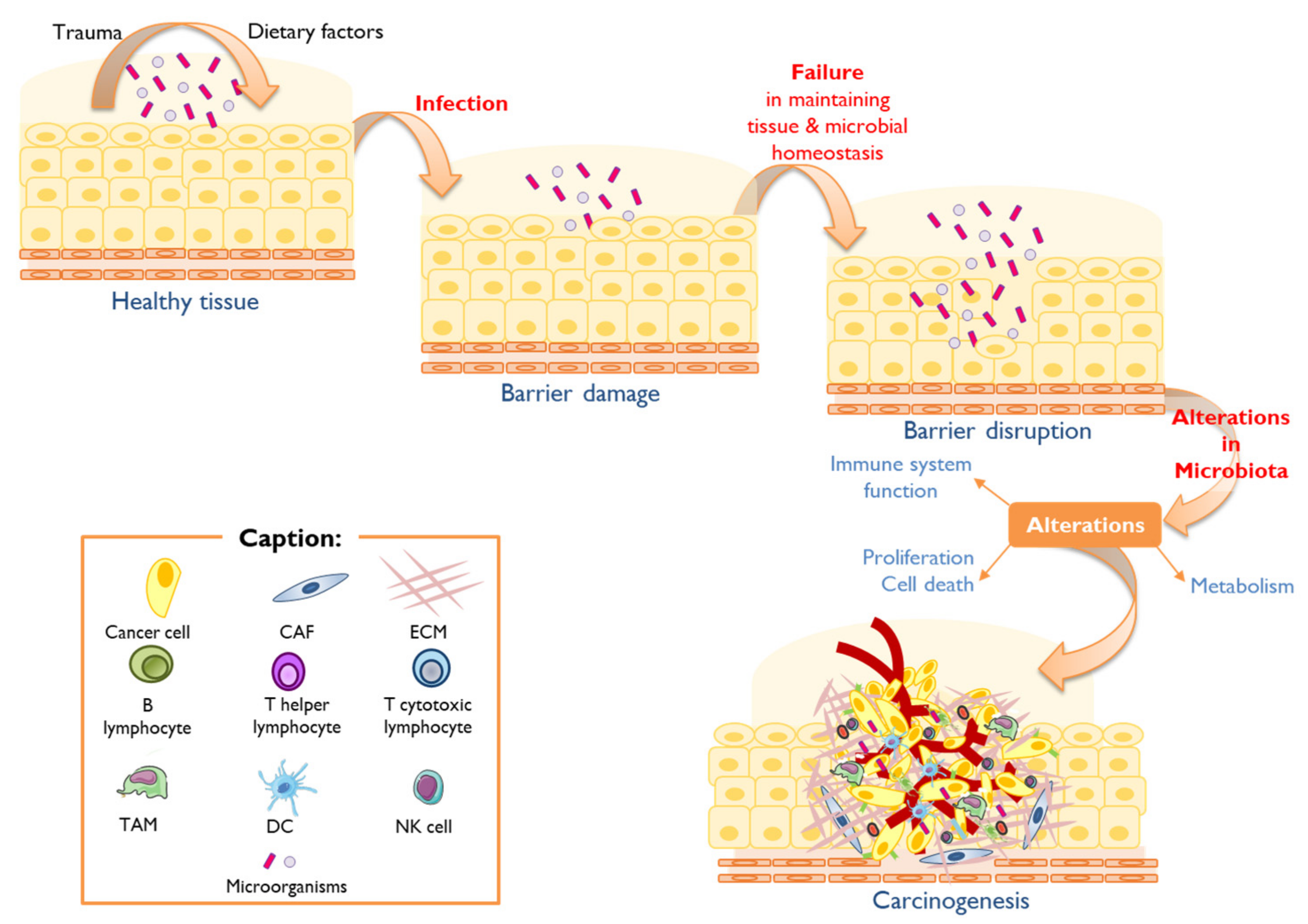 Vaccines 11 00492 g002 Vaccines 11 00492 g002