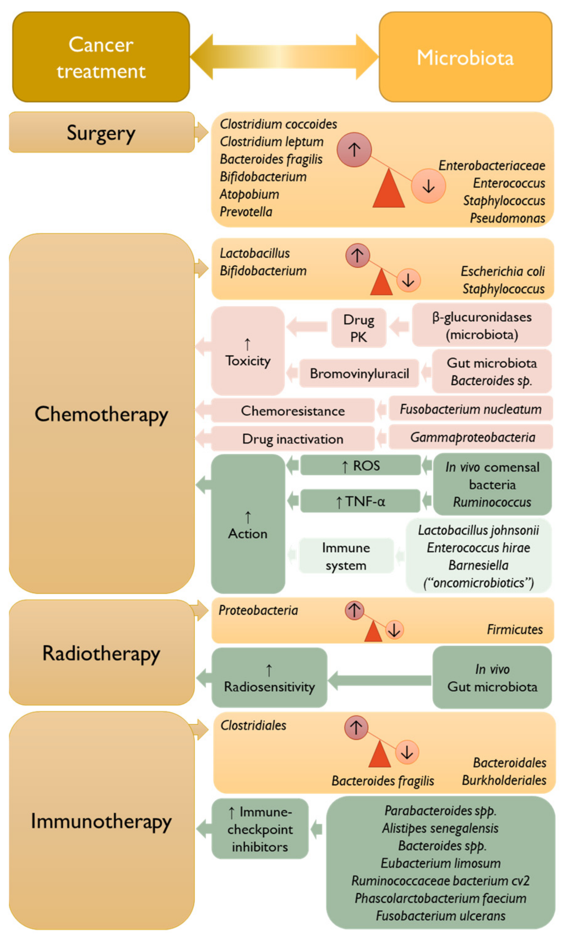 Vaccines 11 00492 g004 Vaccines 11 00492 g004