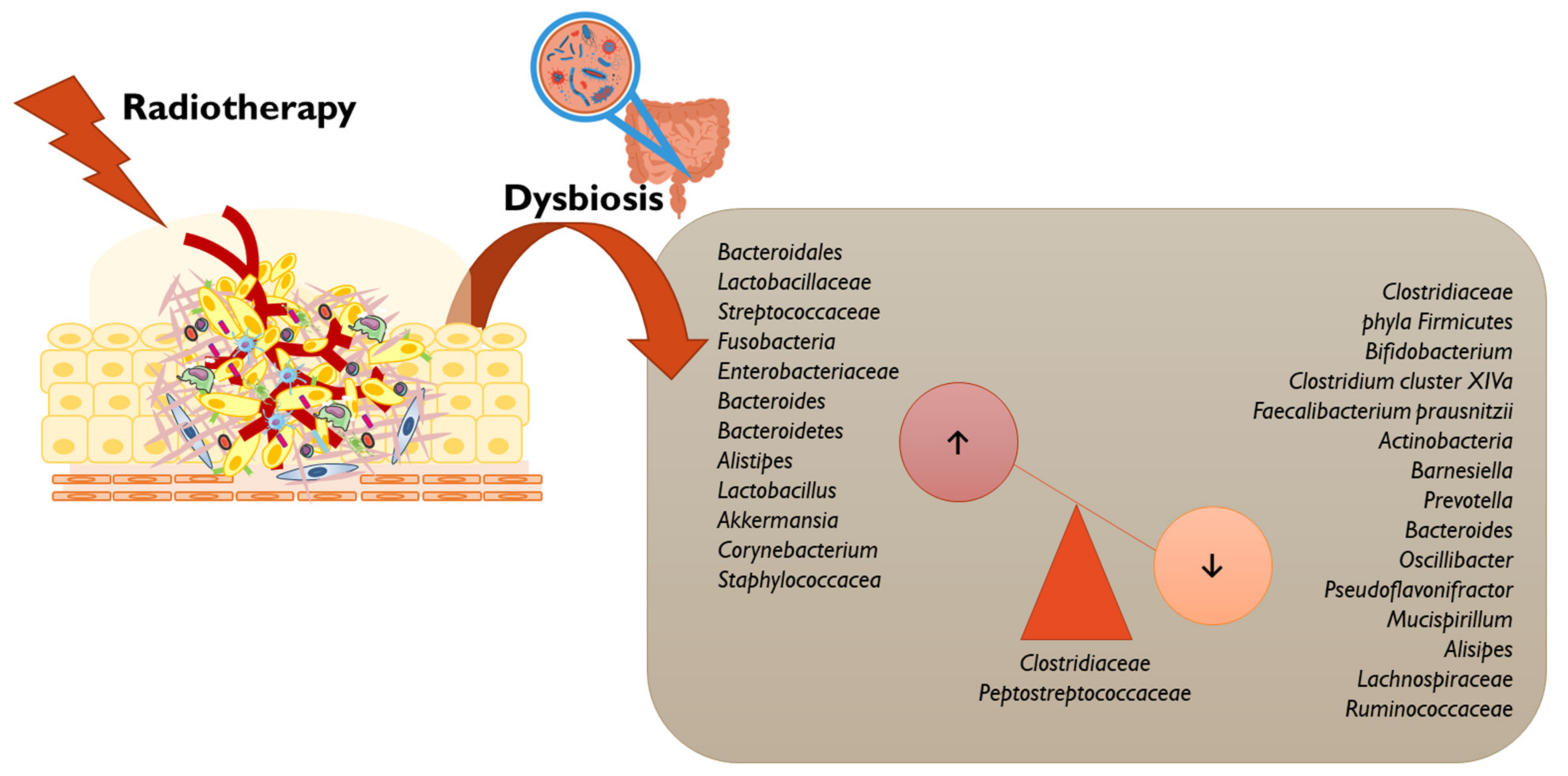 Vaccines 11 00492 g005 Vaccines 11 00492 g005