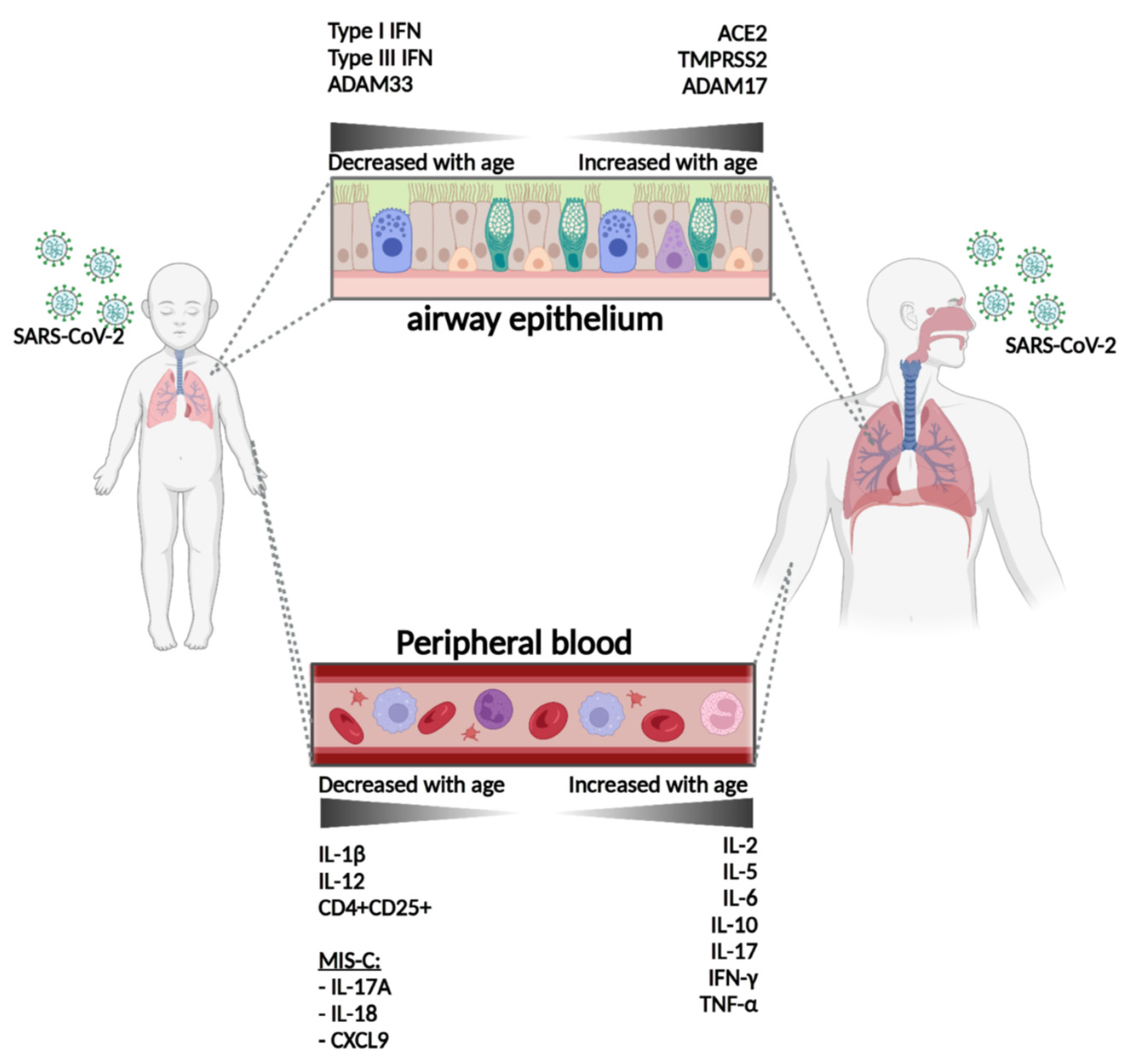 Vaccines 11 00509 g002