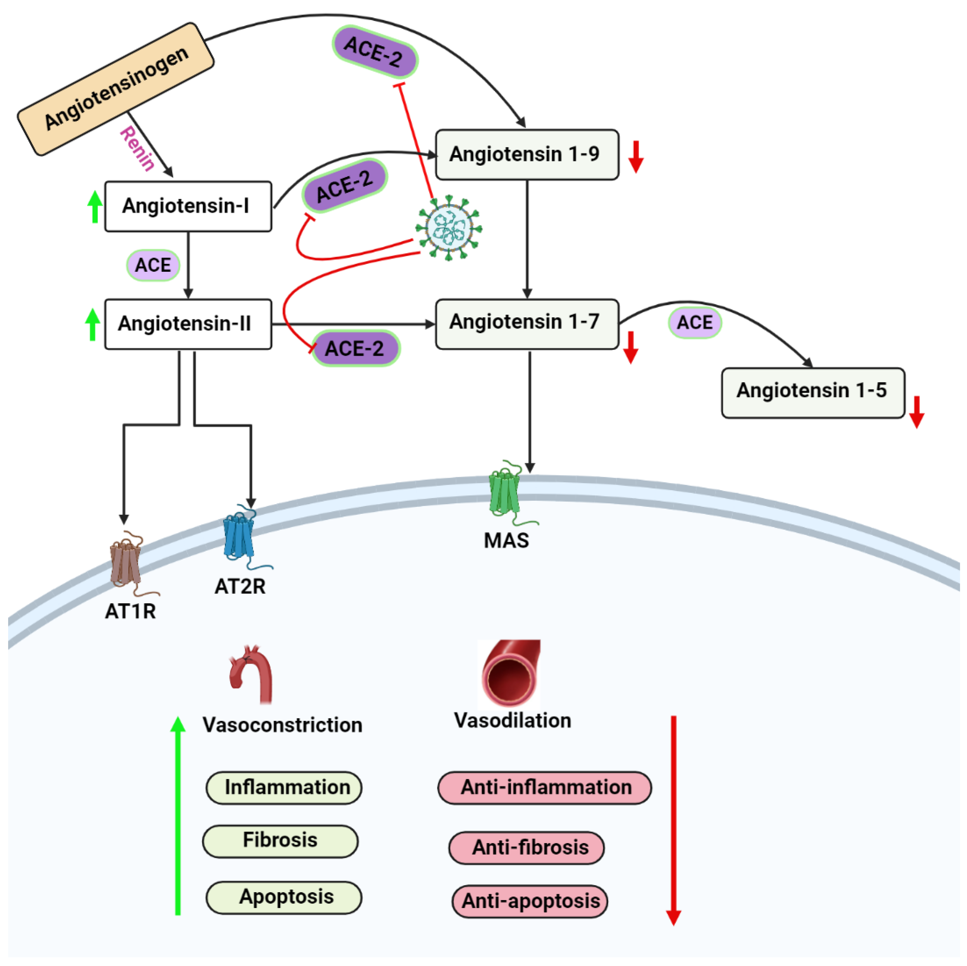 Vaccines 11 00510 g001 Vaccines 11 00510 g001