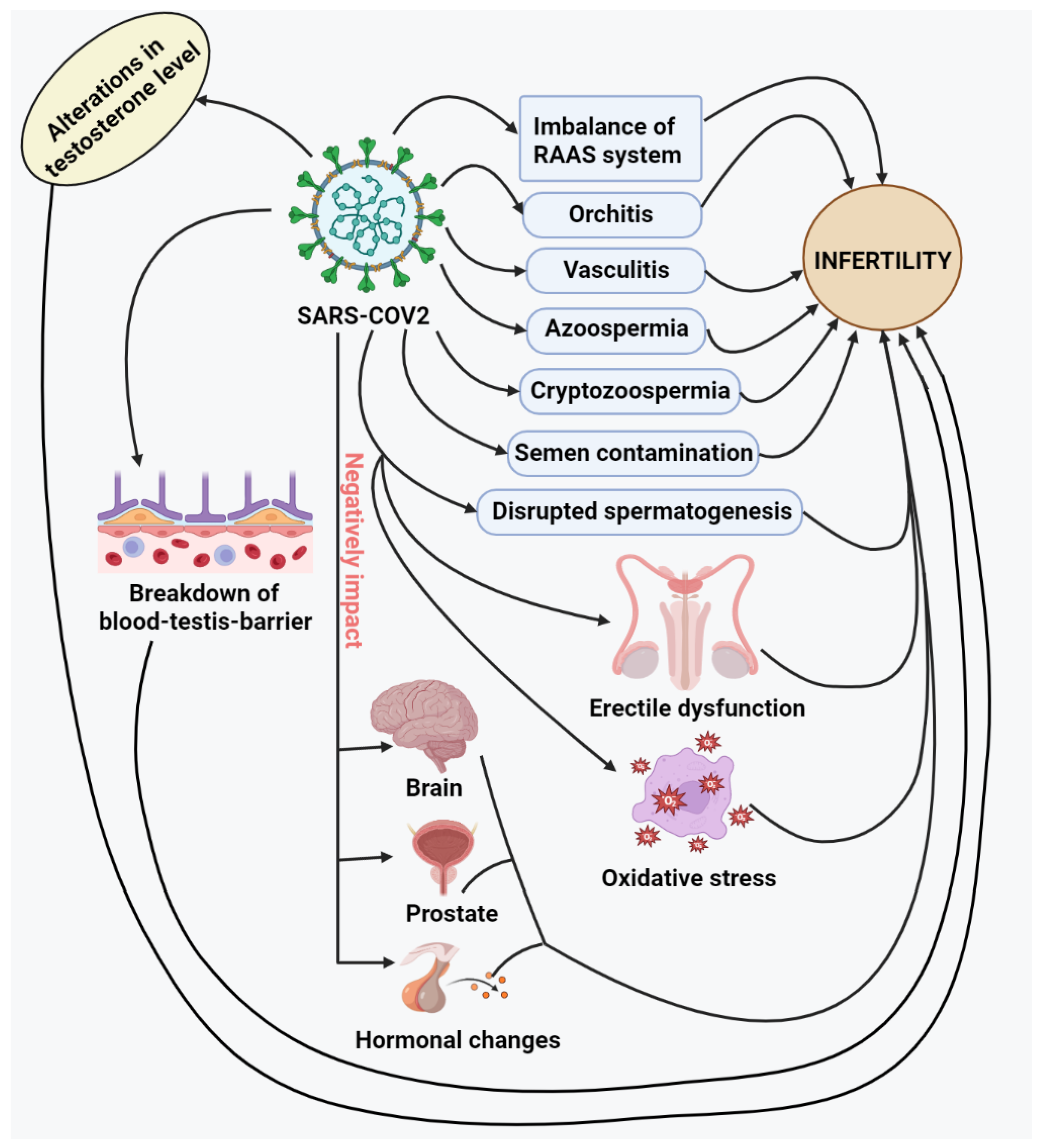 Vaccines 11 00510 g002 Vaccines 11 00510 g002