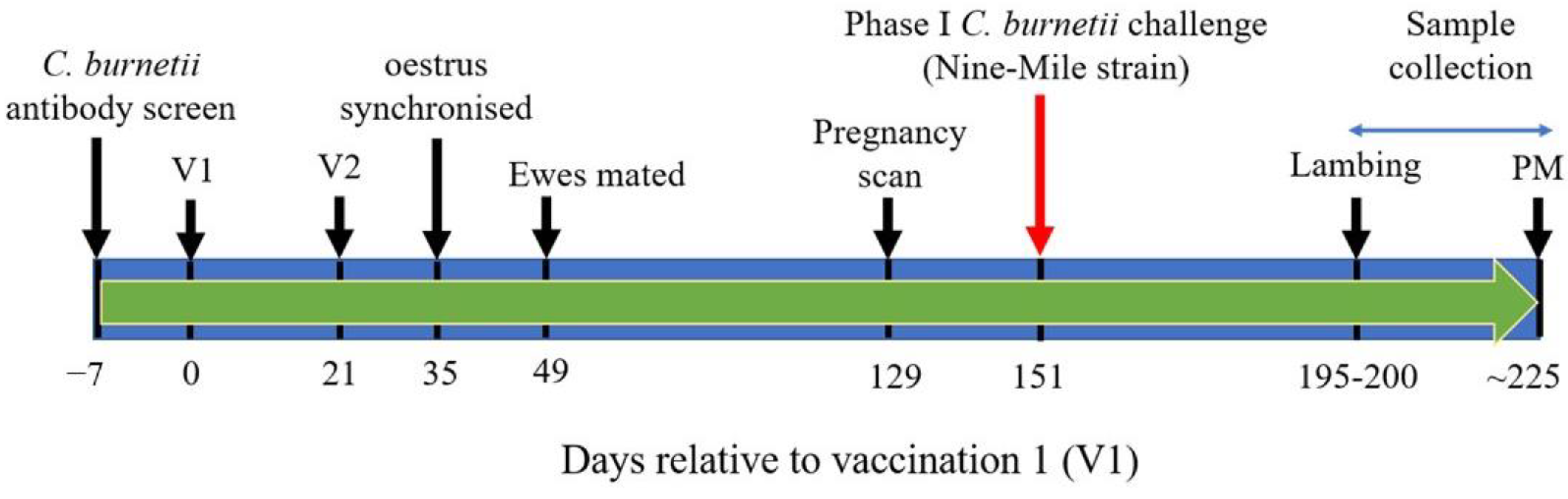Vaccines 11 00511 g001 Vaccines 11 00511 g001
