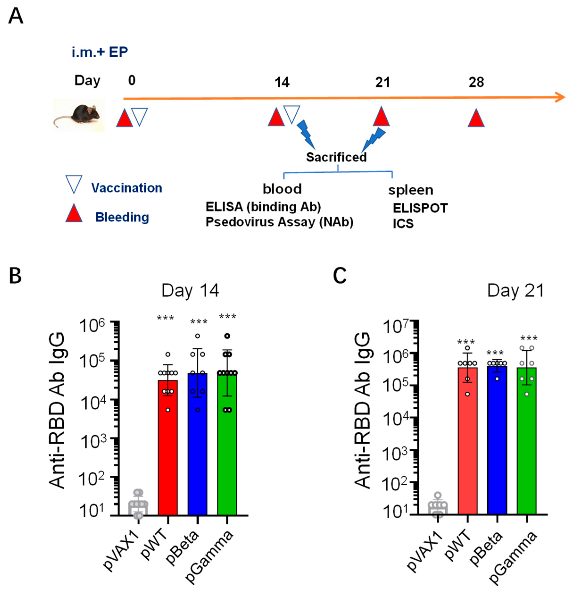 Vaccines 11 00513 g002 Vaccines 11 00513 g002