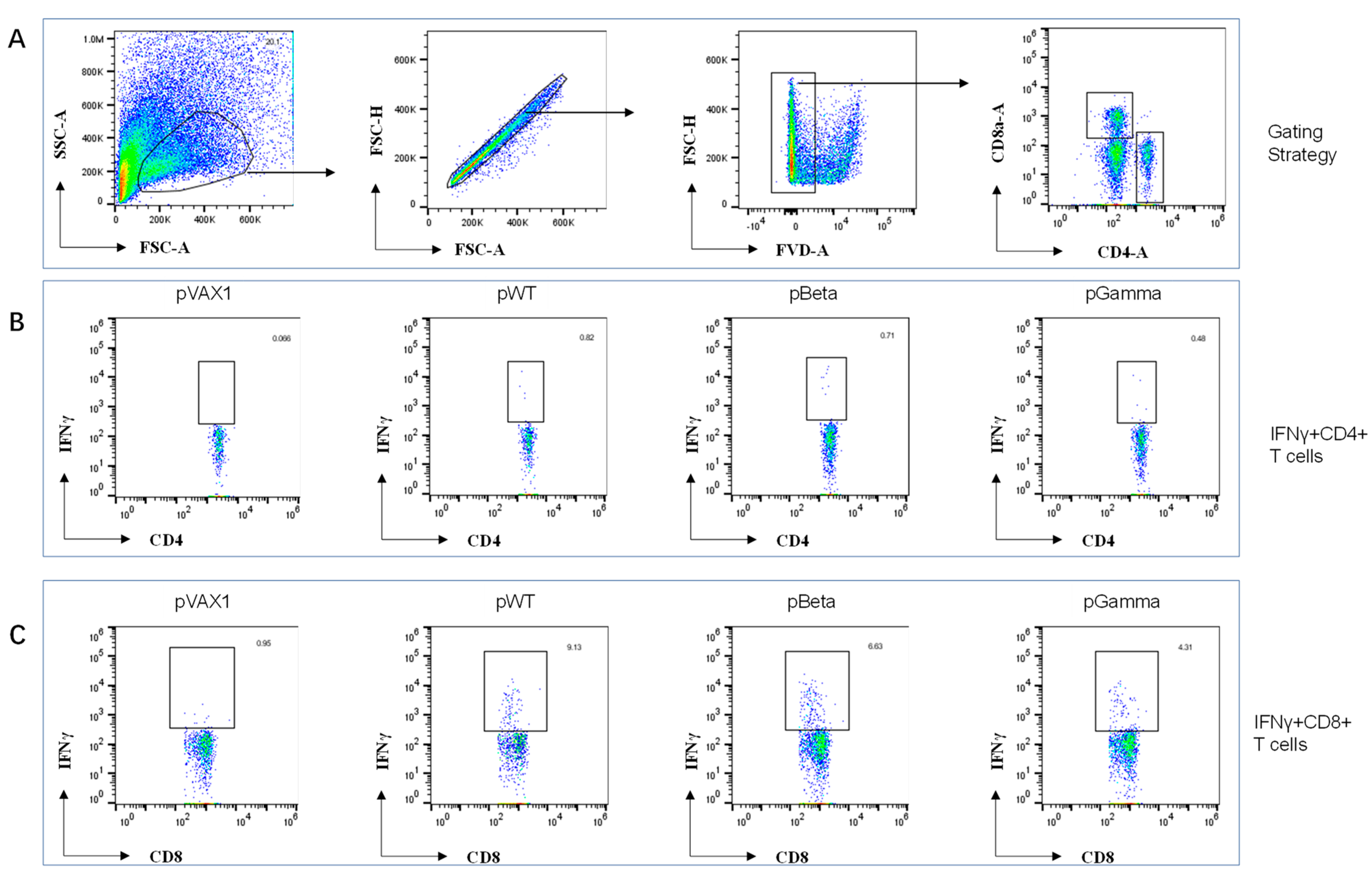 Vaccines 11 00513 g004 Vaccines 11 00513 g004