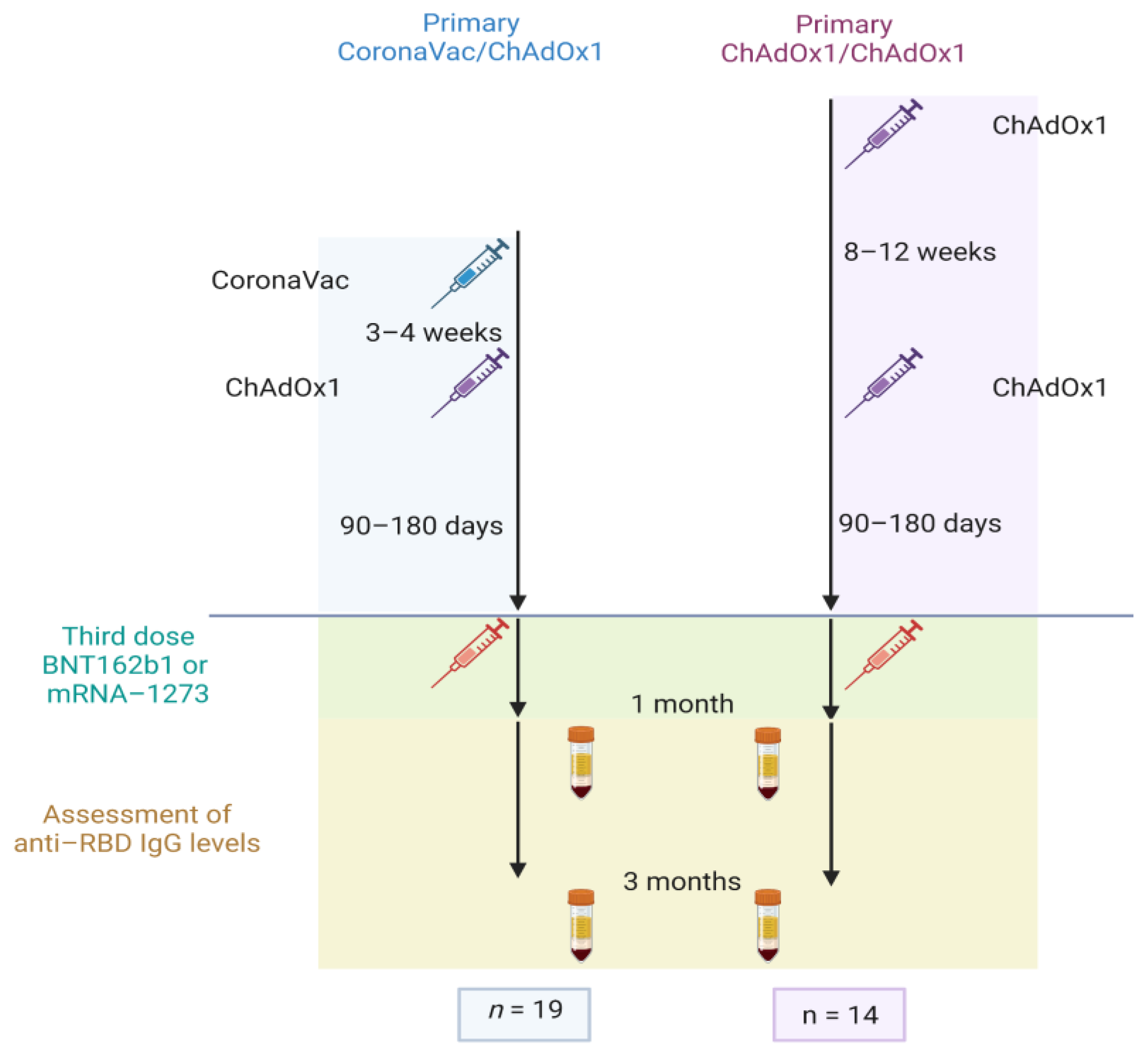 Vaccines 11 00537 g001