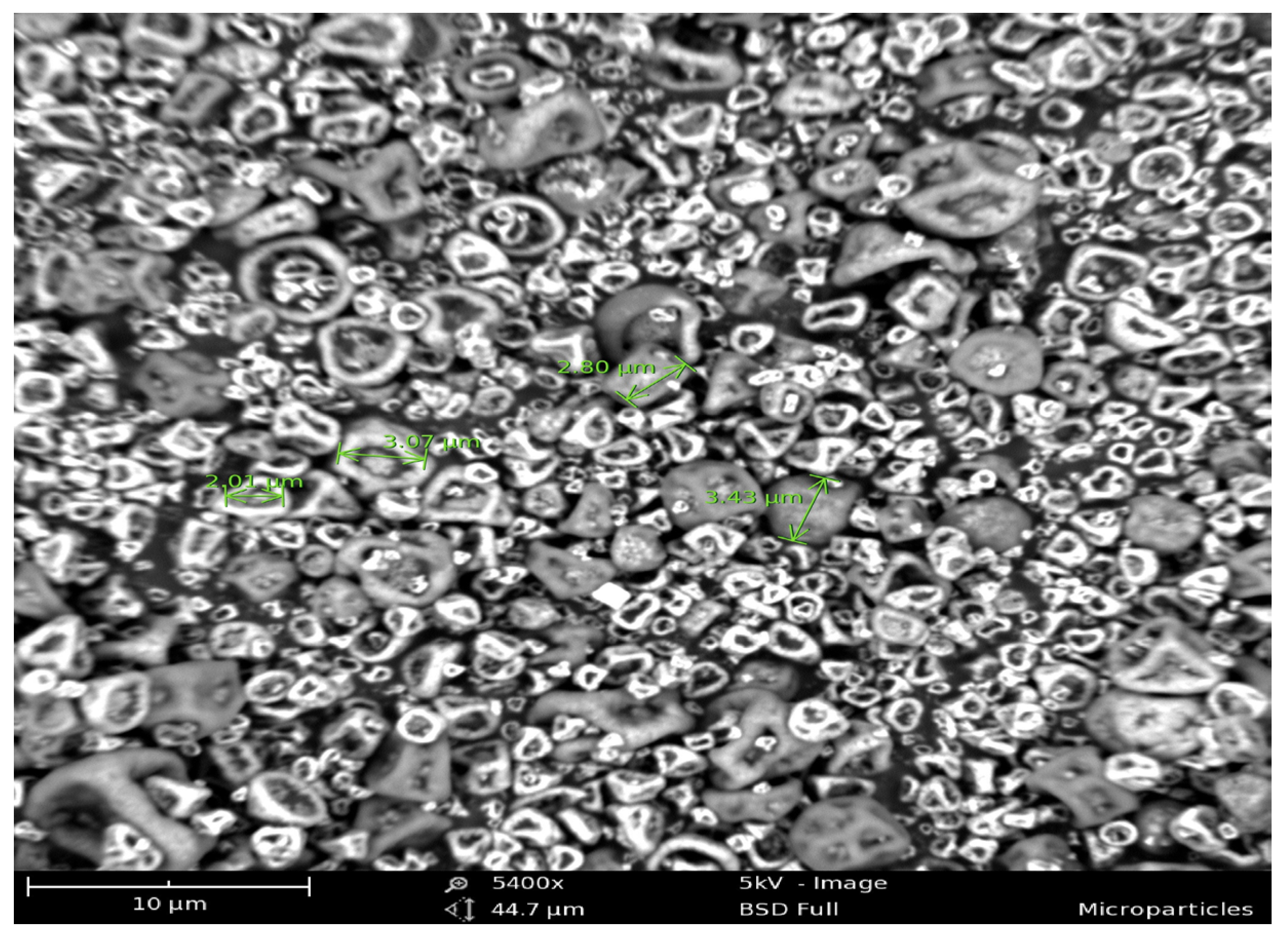 Vaccines 11 00543 g001