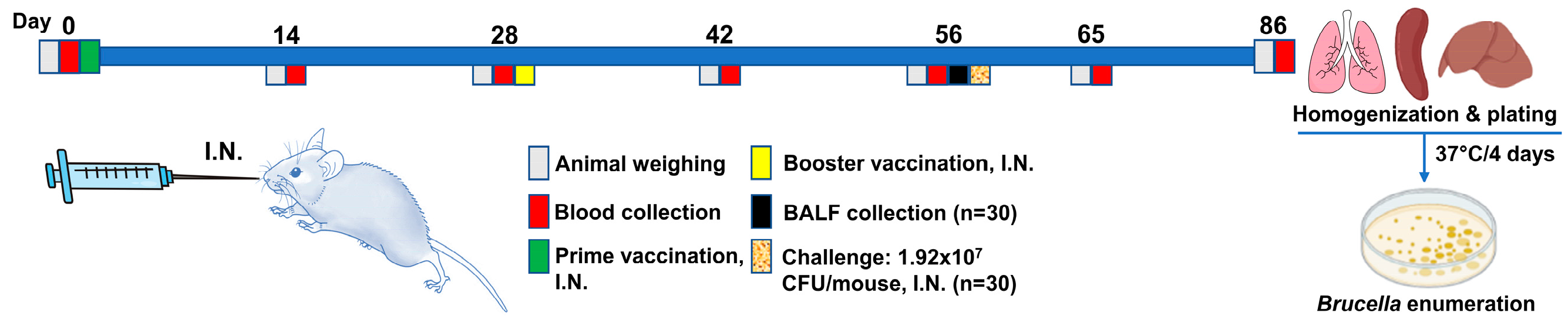 Vaccines 11 00546 g001 Vaccines 11 00546 g001