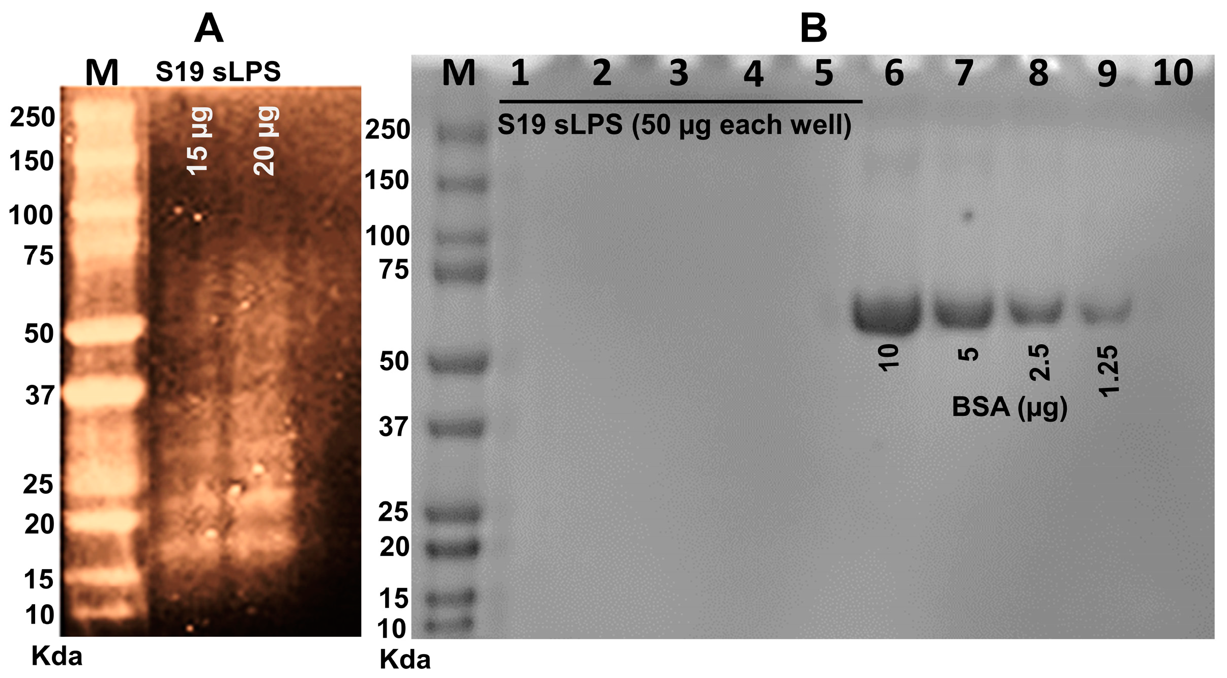 Vaccines 11 00546 g002 Vaccines 11 00546 g002